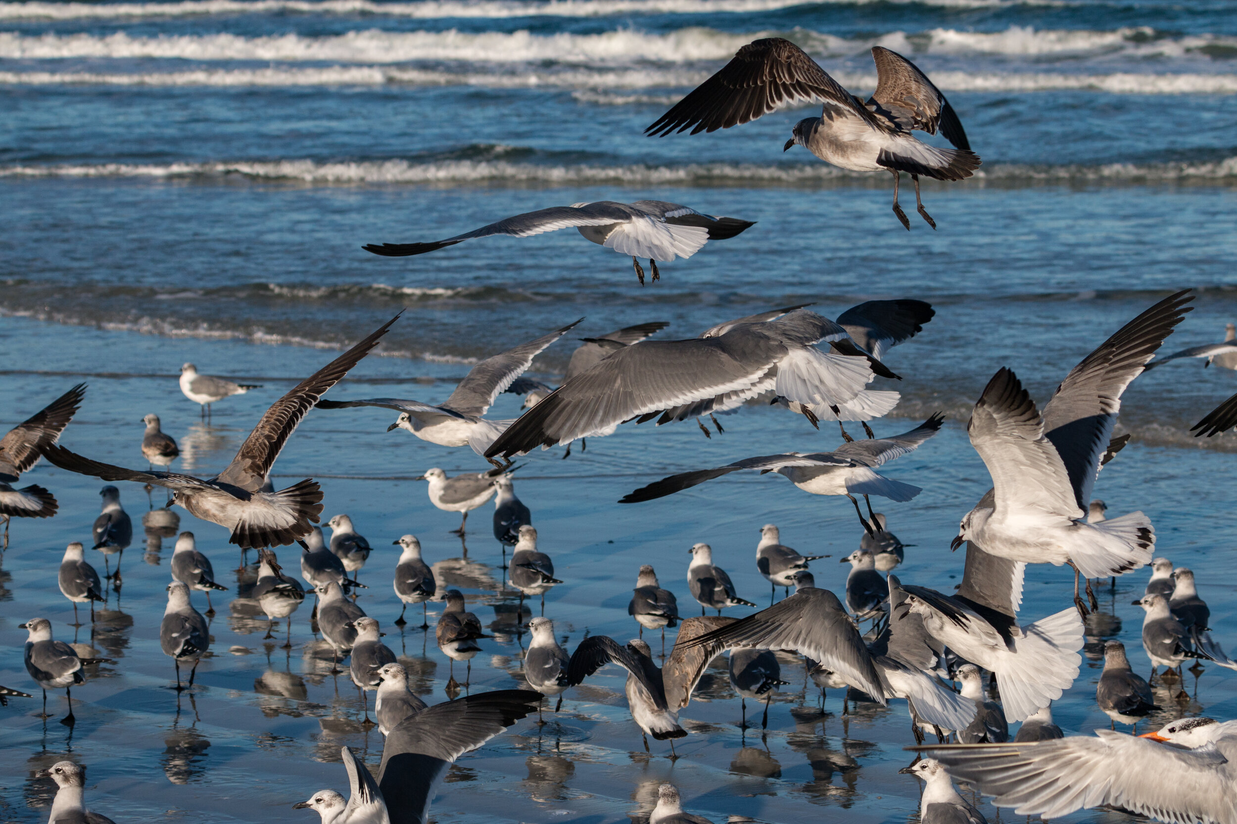 IMG_8680 LR1-LR1.jpg
