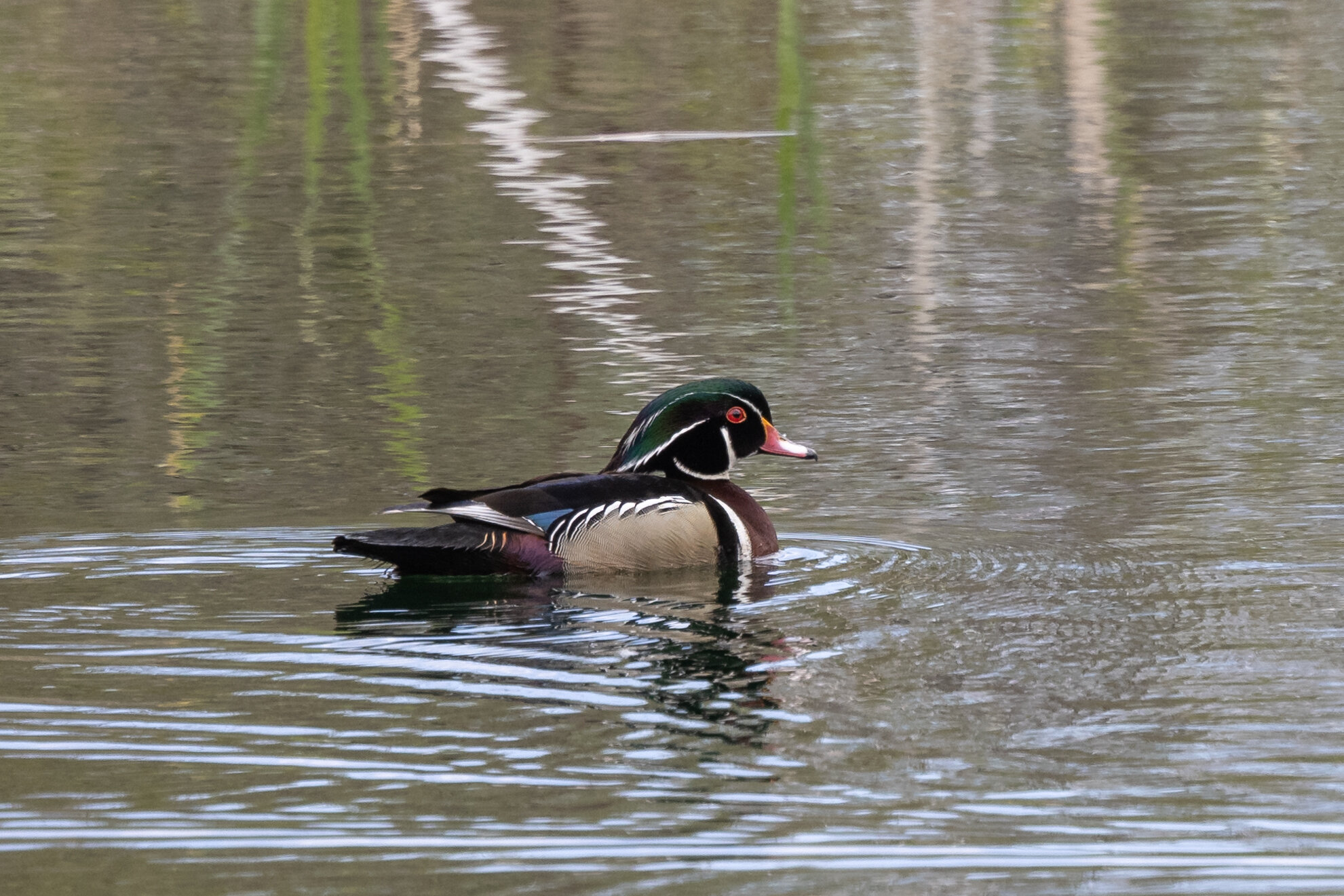 R5C16572-LR1.jpg