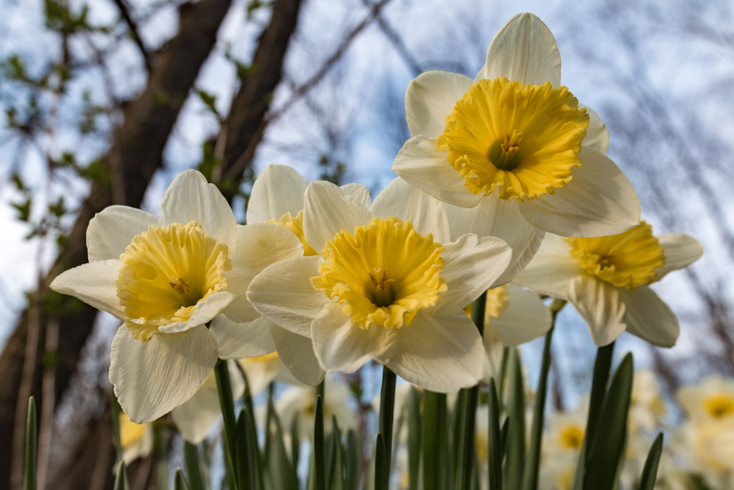 IMG_5538 LR1-LR1.jpg