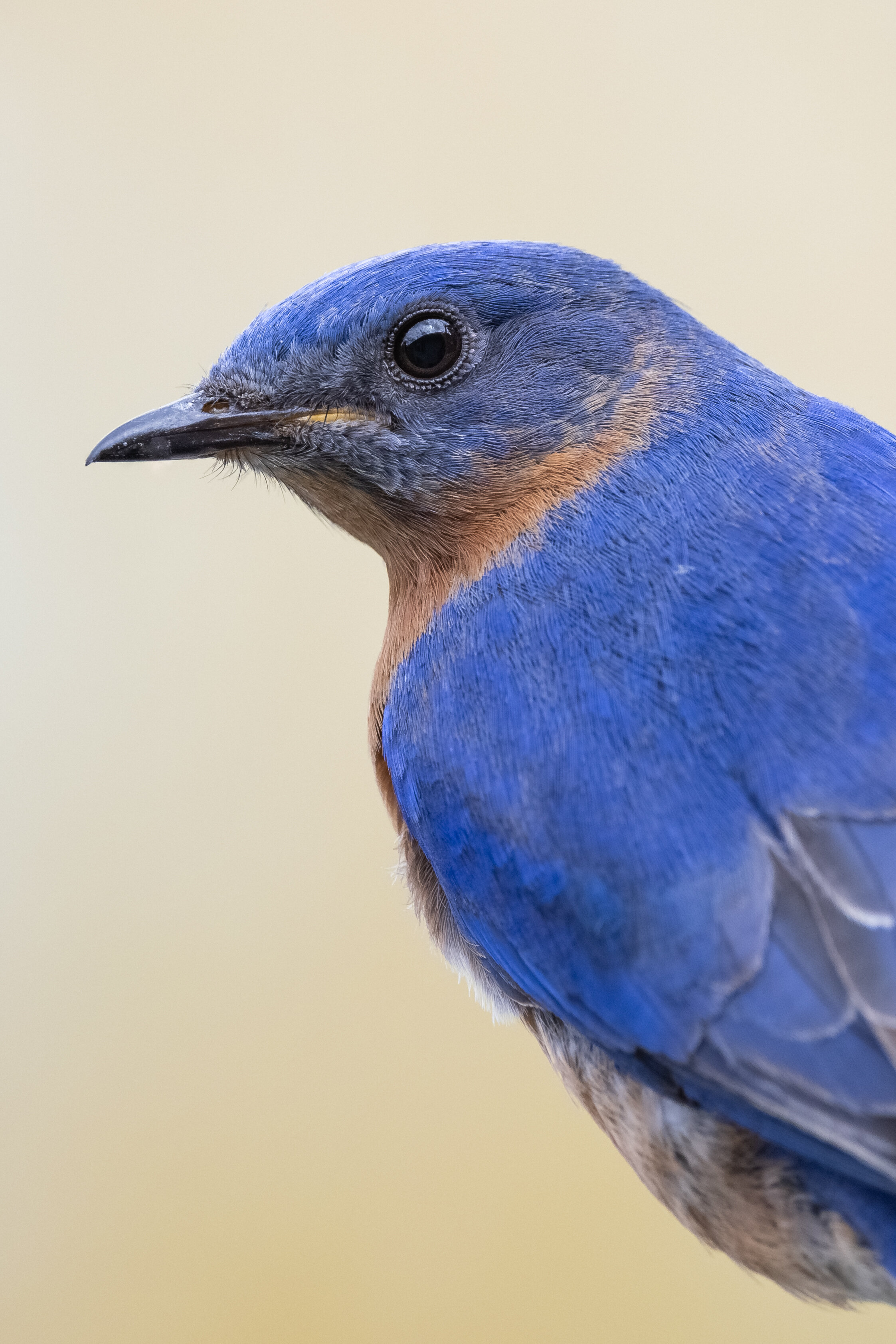 R5C14671-LR1.jpg