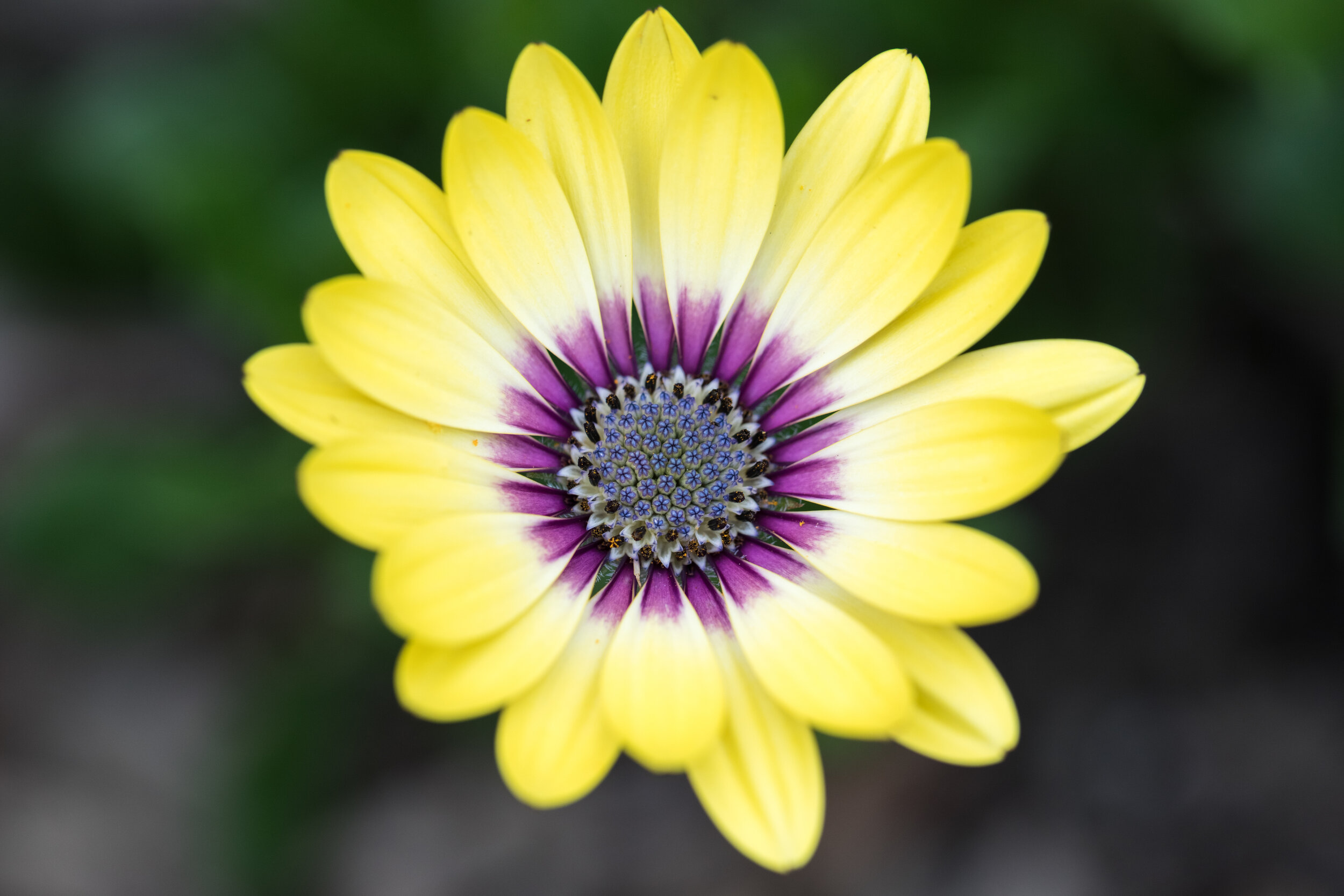 6M3A0073 LR1-LR1.jpg