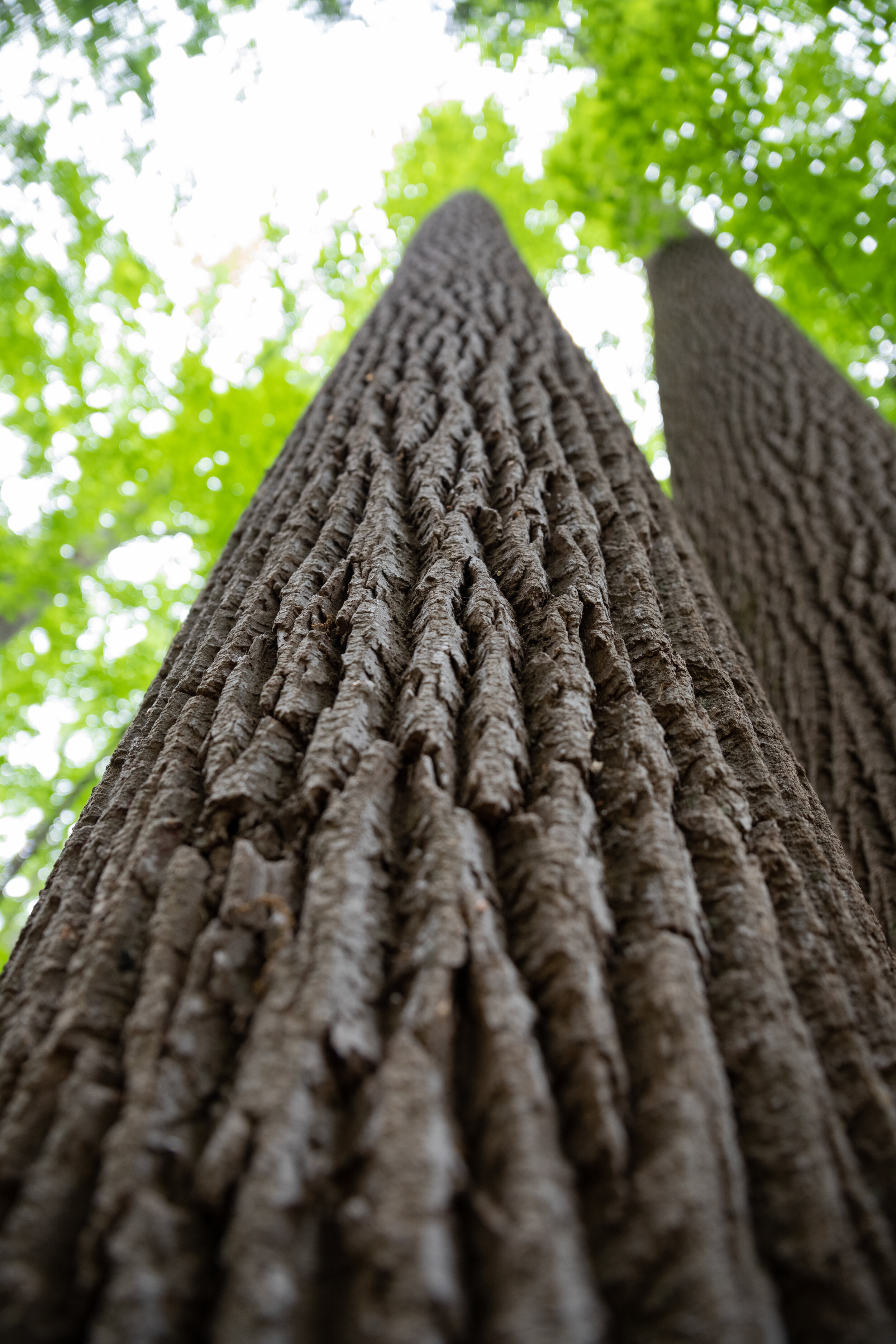 IMG_2950-LR1-LR1.jpg