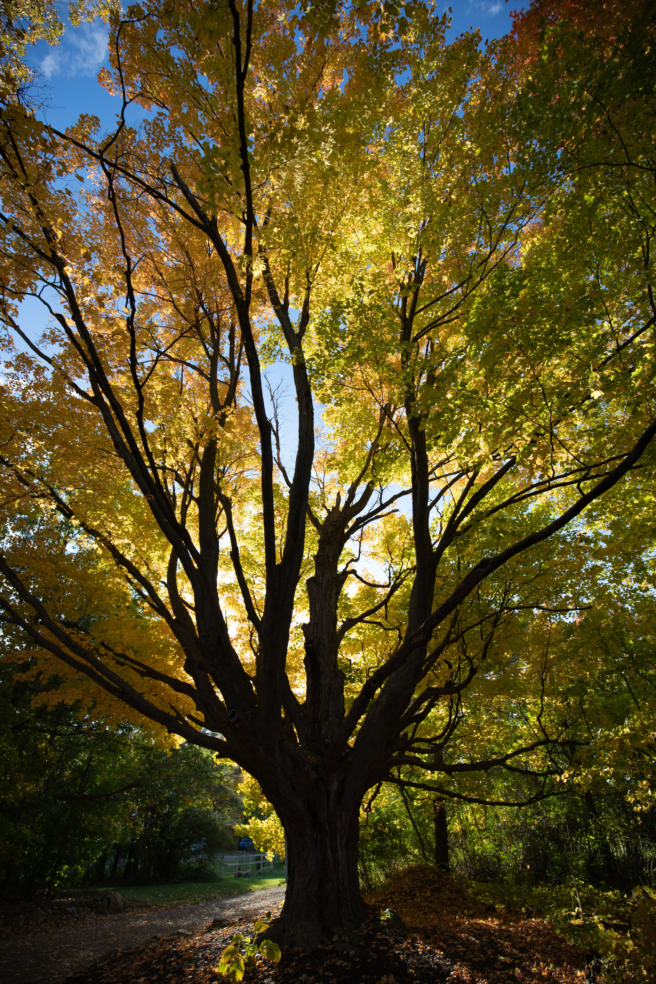 6M4A0083-LR1-LR1.jpg