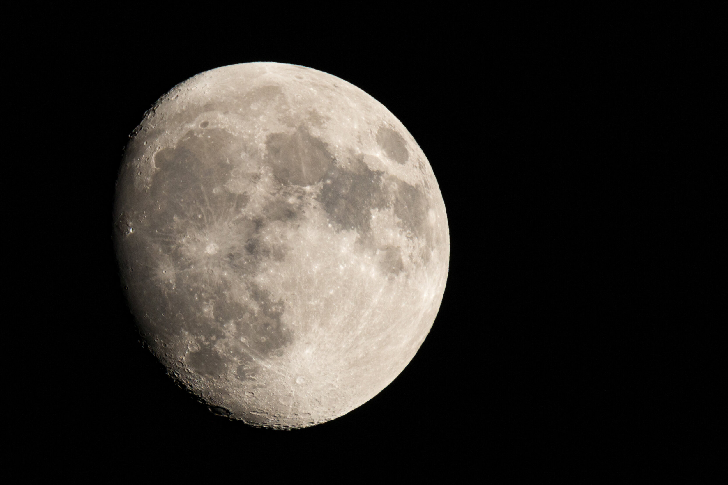 IMG_8450 LR1-LR1.jpg