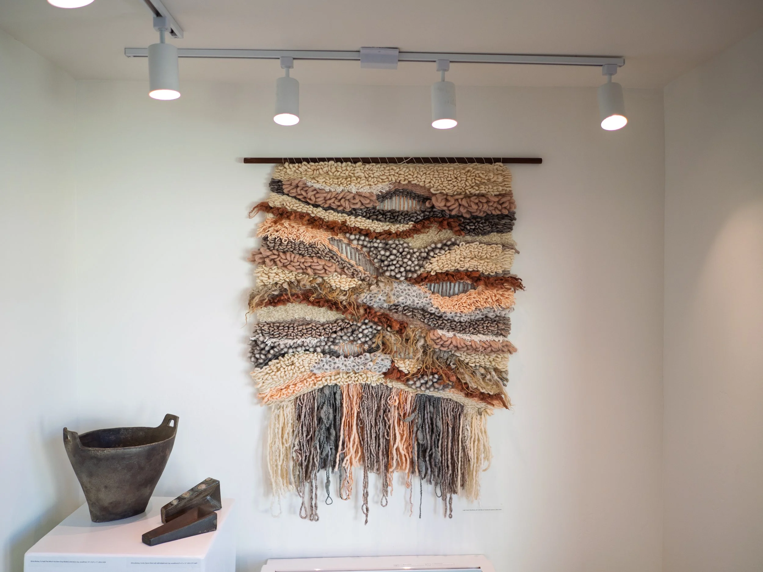 Leigh Oviatt, Wind Blown, handwoven 2024.jpg