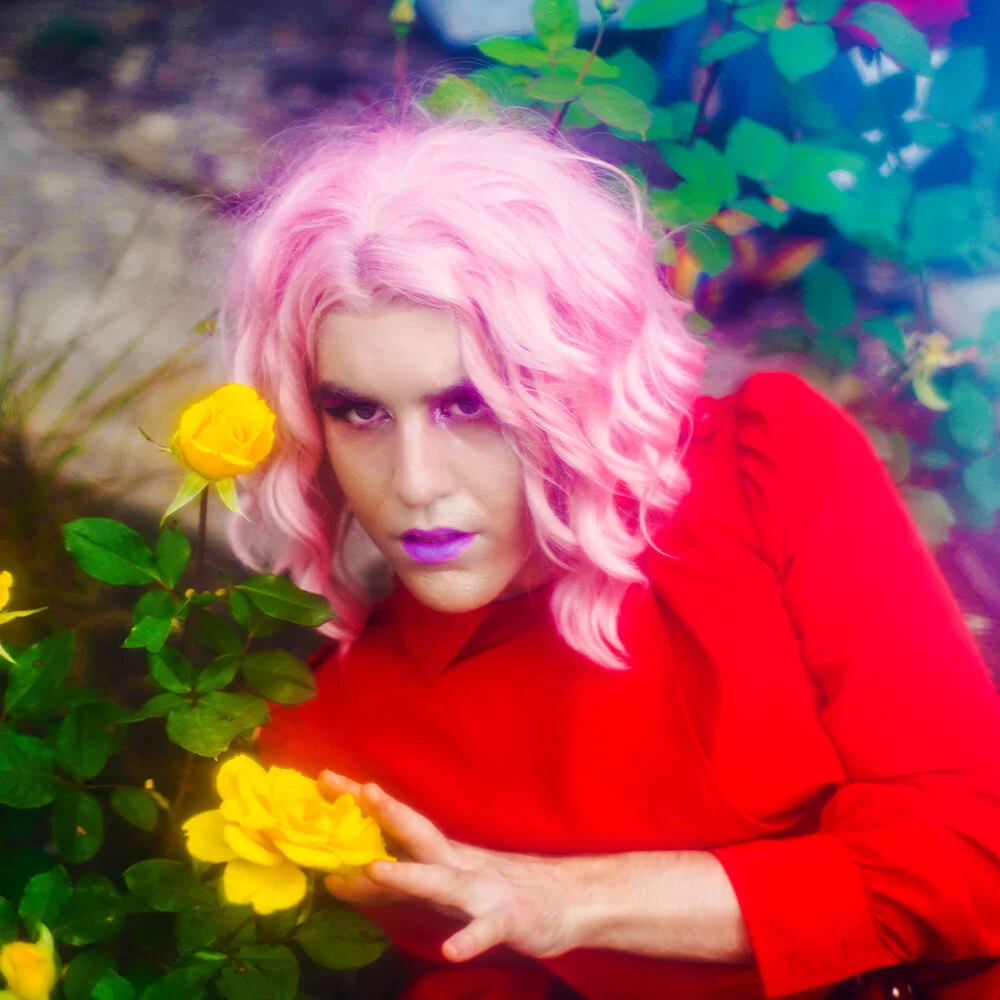 Lady Charles by Charles Hoppner.jpeg