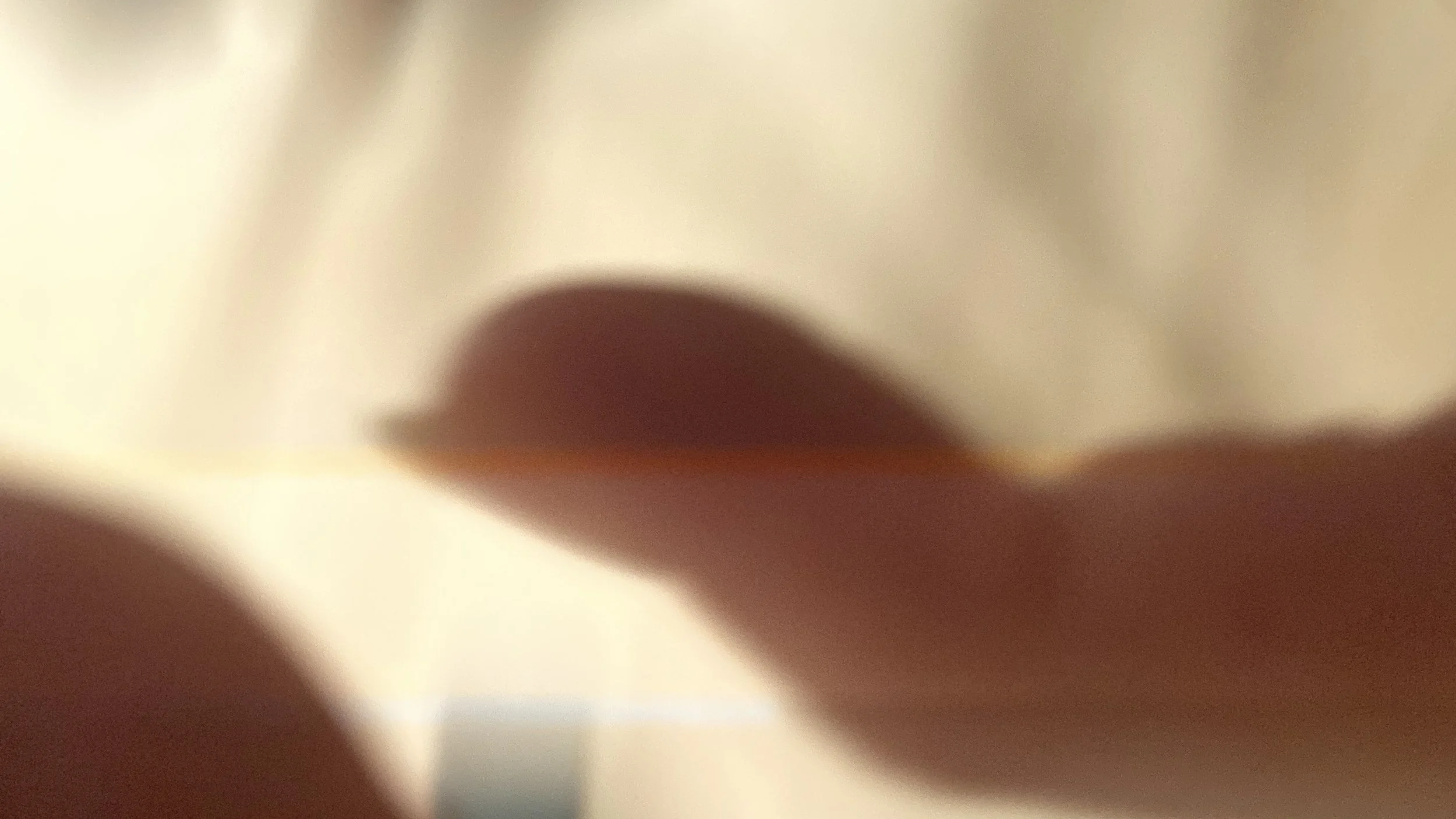 IMG_7373.jpeg