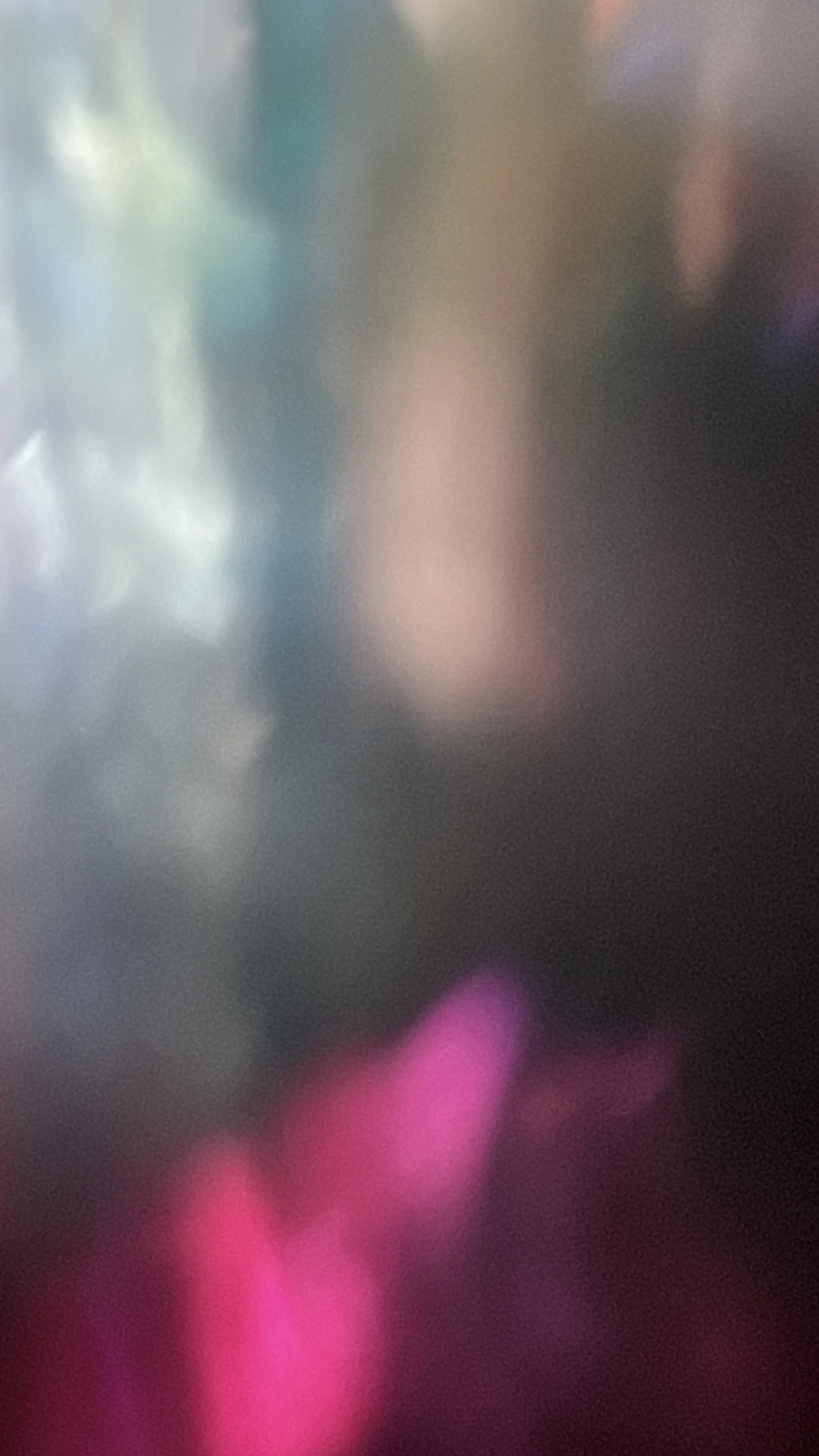 IMG_0502.jpeg