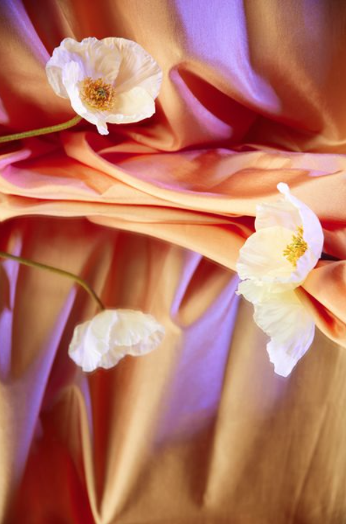 Screenshot 2025-03-04 at 10.50.15 AM.png