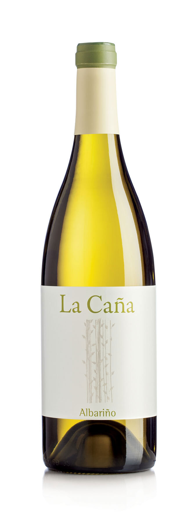 Buen Camino The Wine Doctor