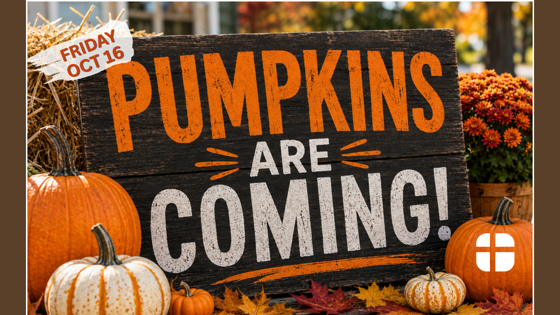 Pumpkins are Coming!
