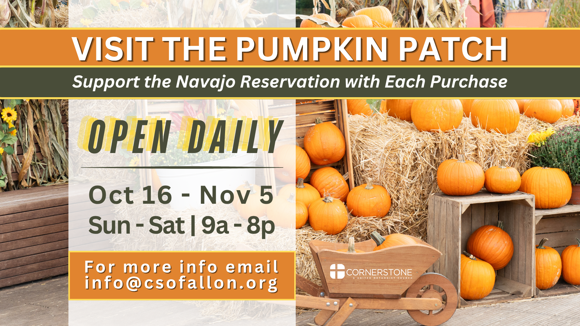 Pumpkin Patch