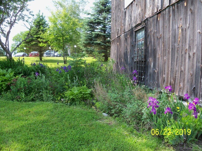 Our Flowerbeds