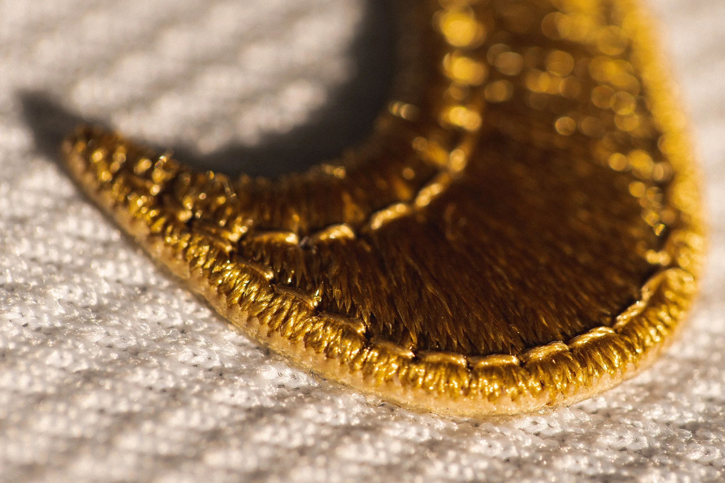 031523_Gold Program_HAA01166.jpg