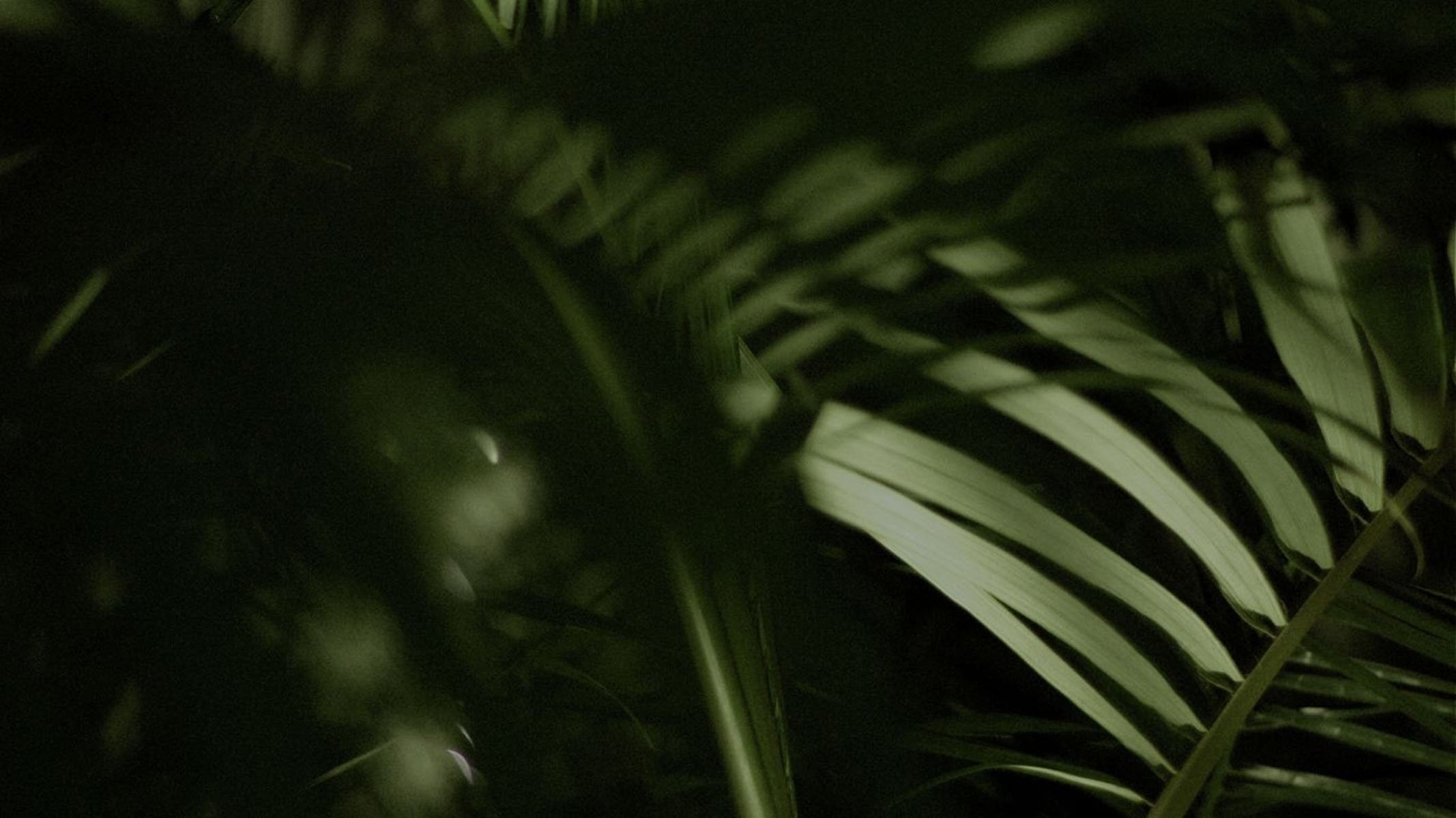 earthy-backdrop.jpg