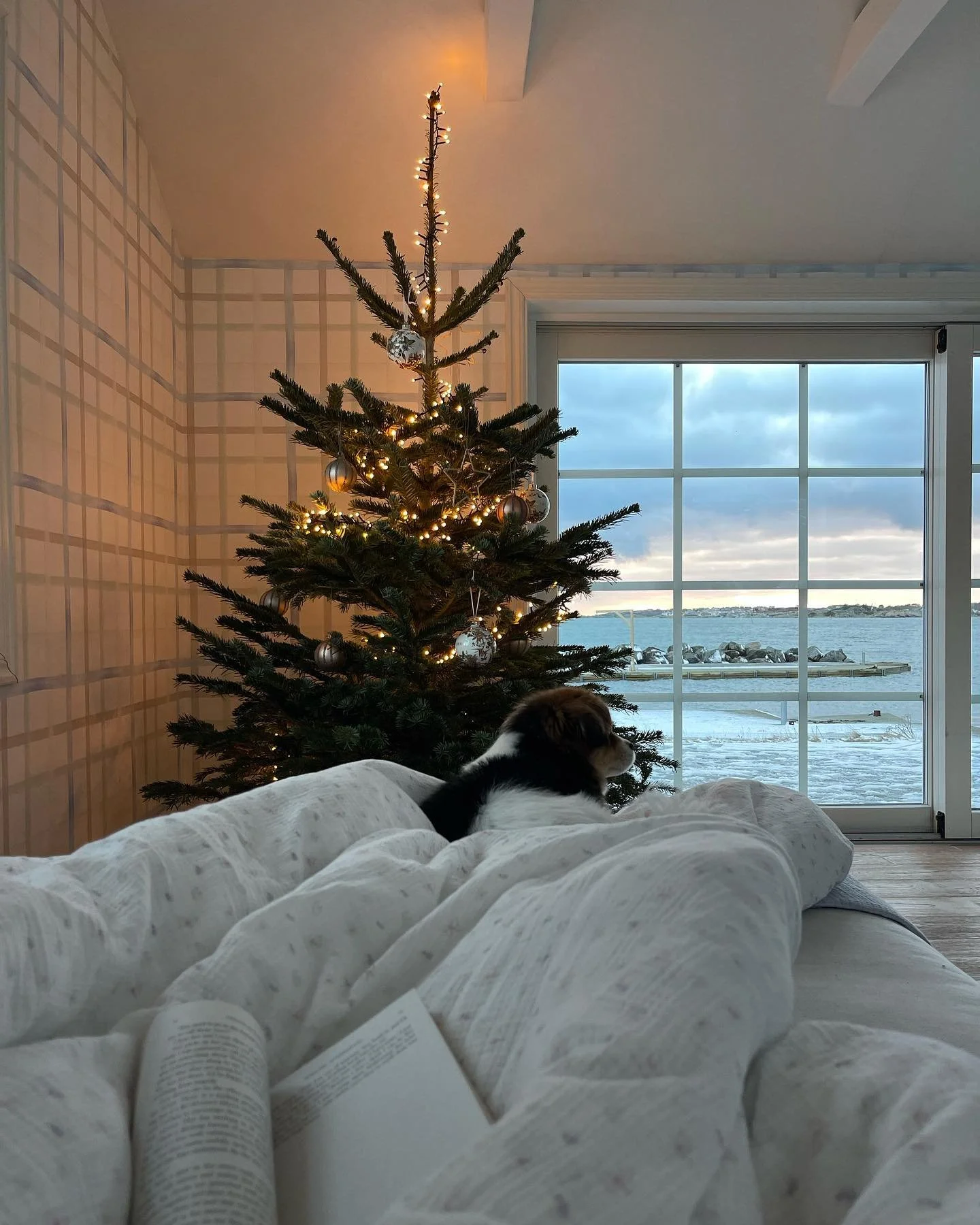 Holiday Self-Reflection: 10 Questions to Guide Your New Year Goals