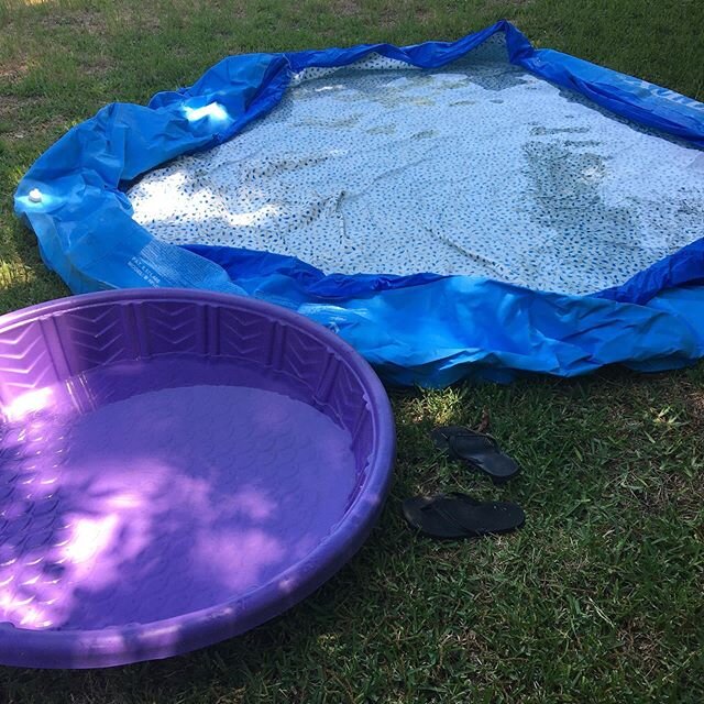 I&rsquo;m trying to do something here #poolhunting .
.
.
.
. 
#poolhunting #allthepools #summerishere #quarantine #poolhutingquarantine 
#summer2020 #research2020