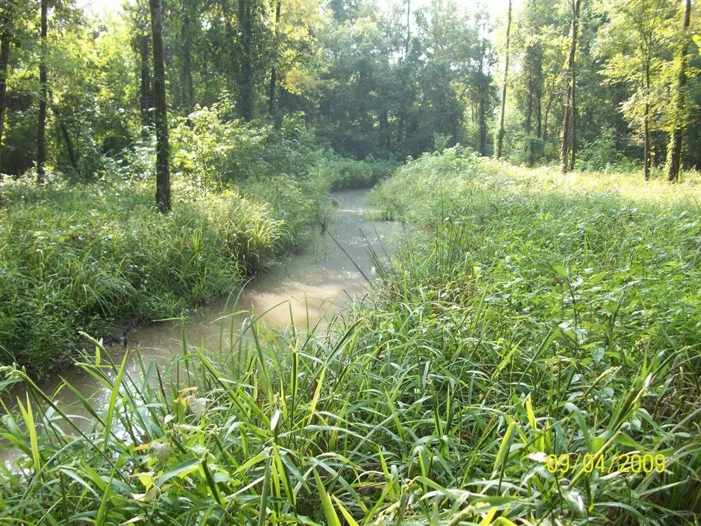 Crooked Creek — Tennessee stream mitigation program