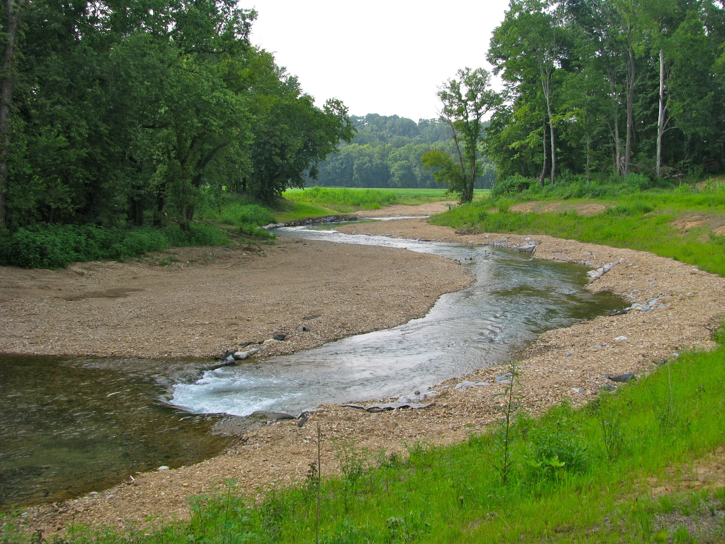 Sugar Creek — Tennessee stream mitigation program