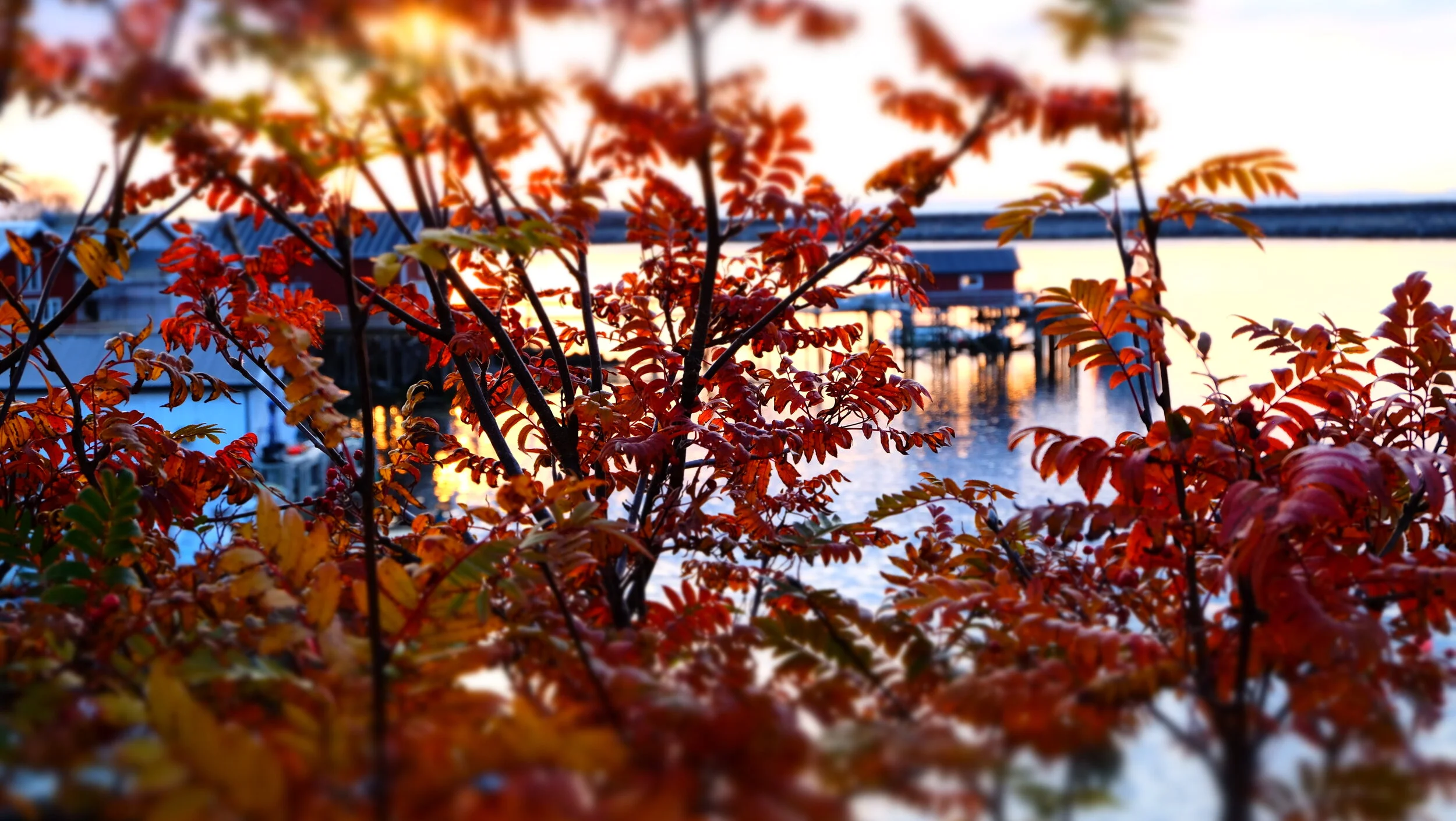 DSCF3932.JPG