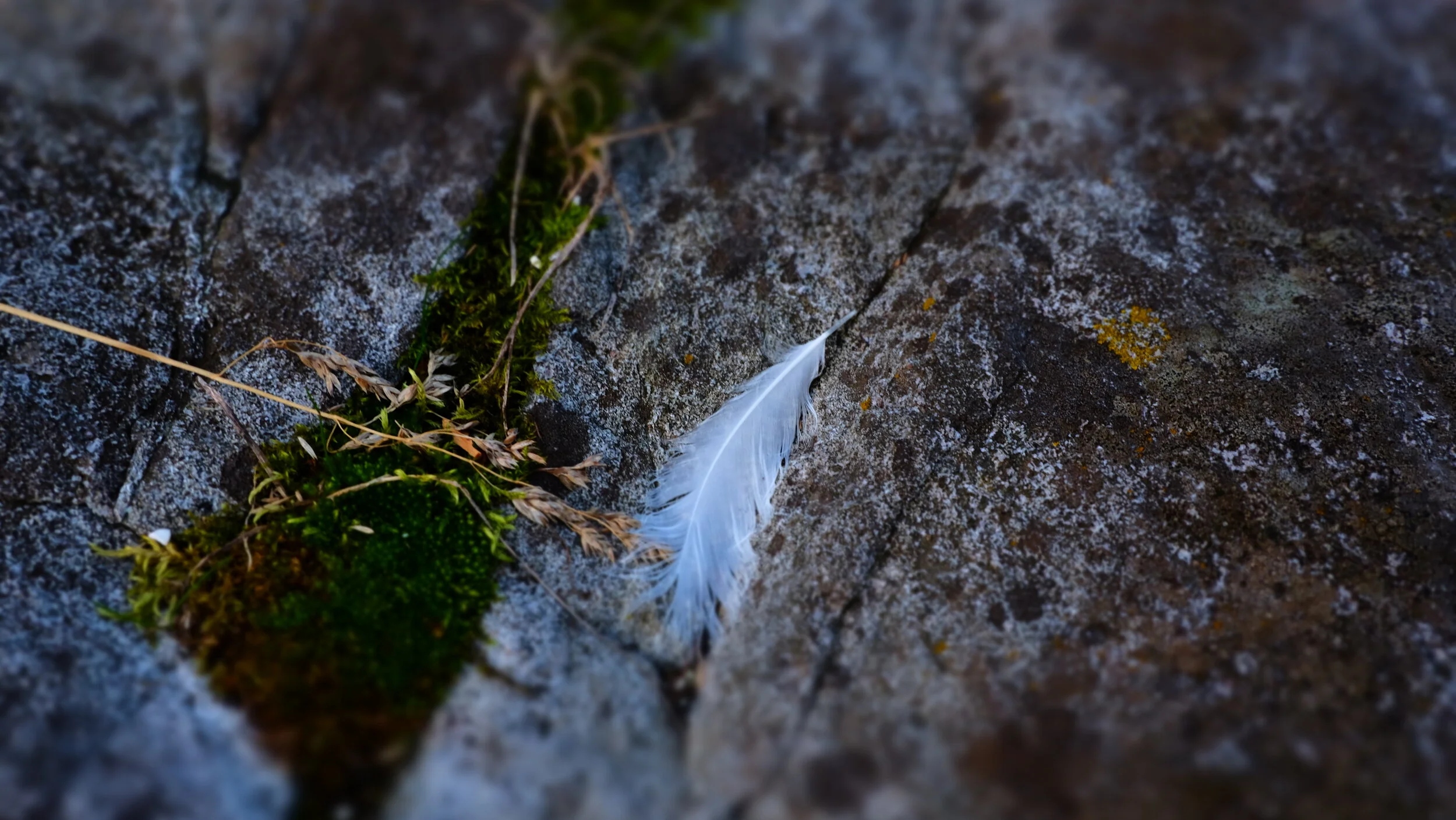 DSCF4839.JPG