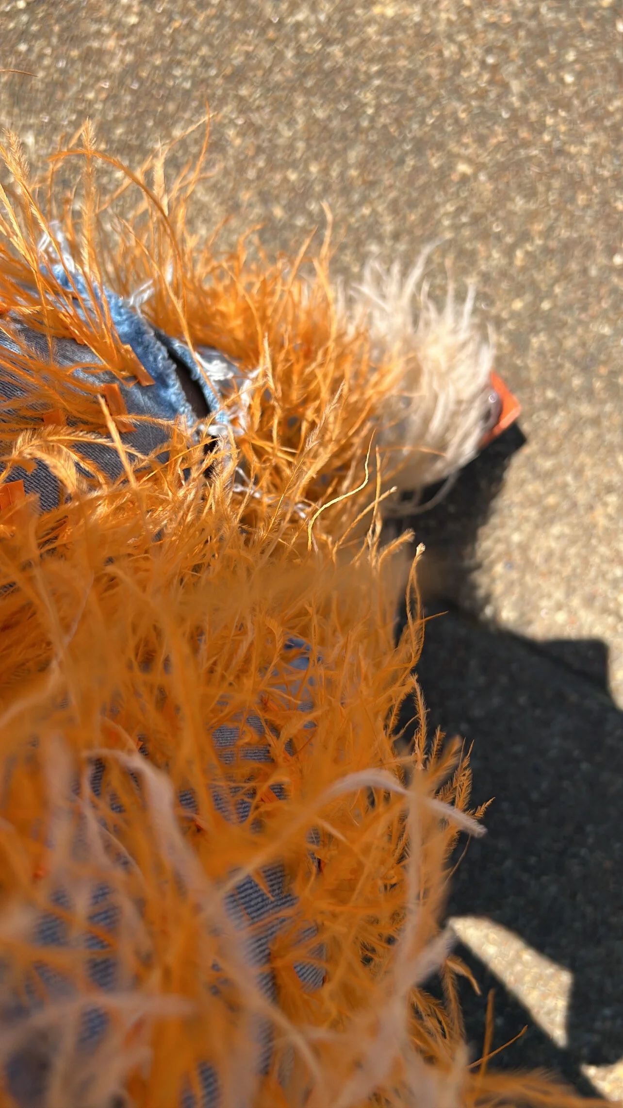 43CCE1B4-29A6-4725-AB01-C49EFA4103AC