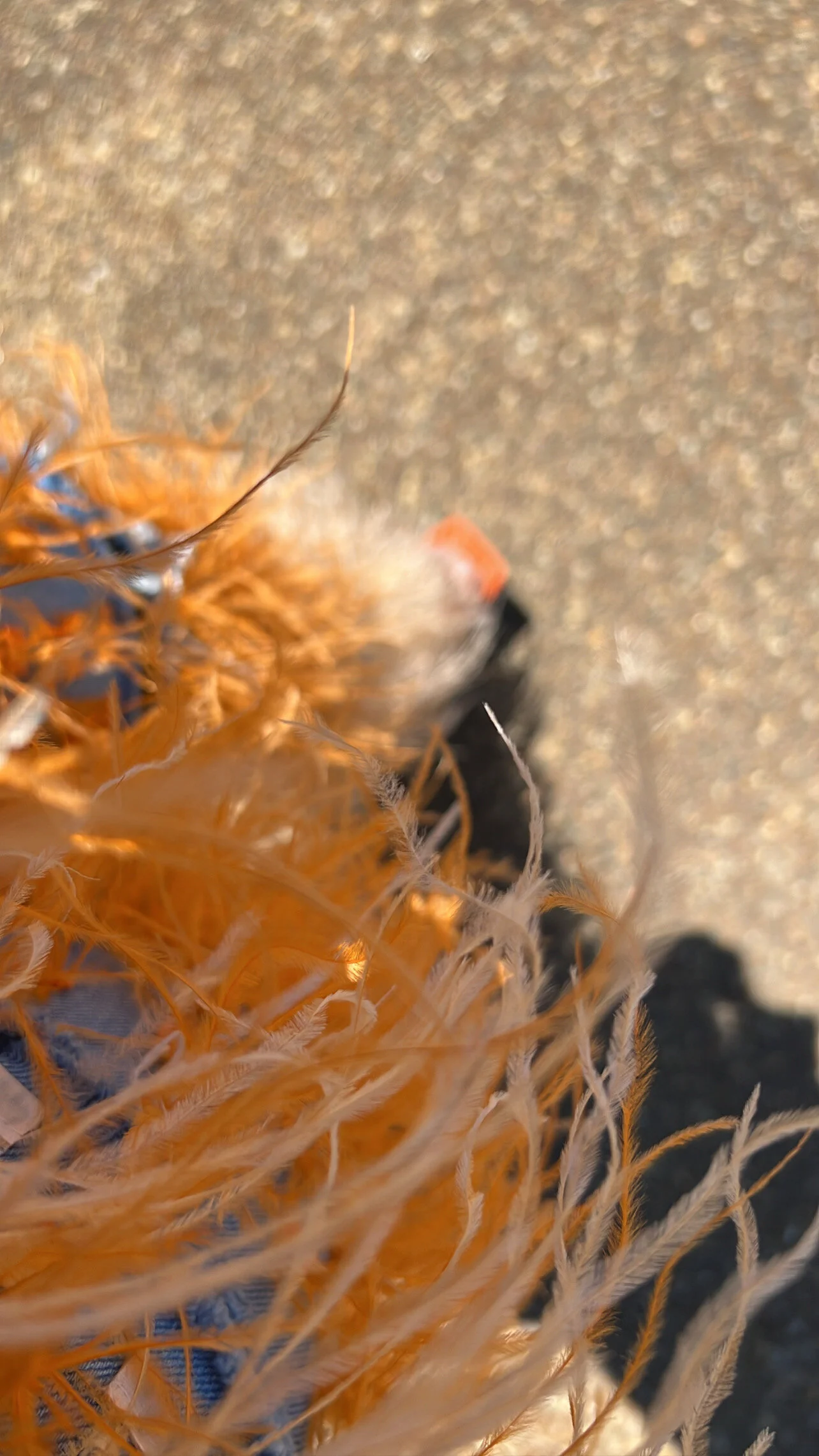 43C3D193-393F-4E71-A46A-82321FDCBE5A