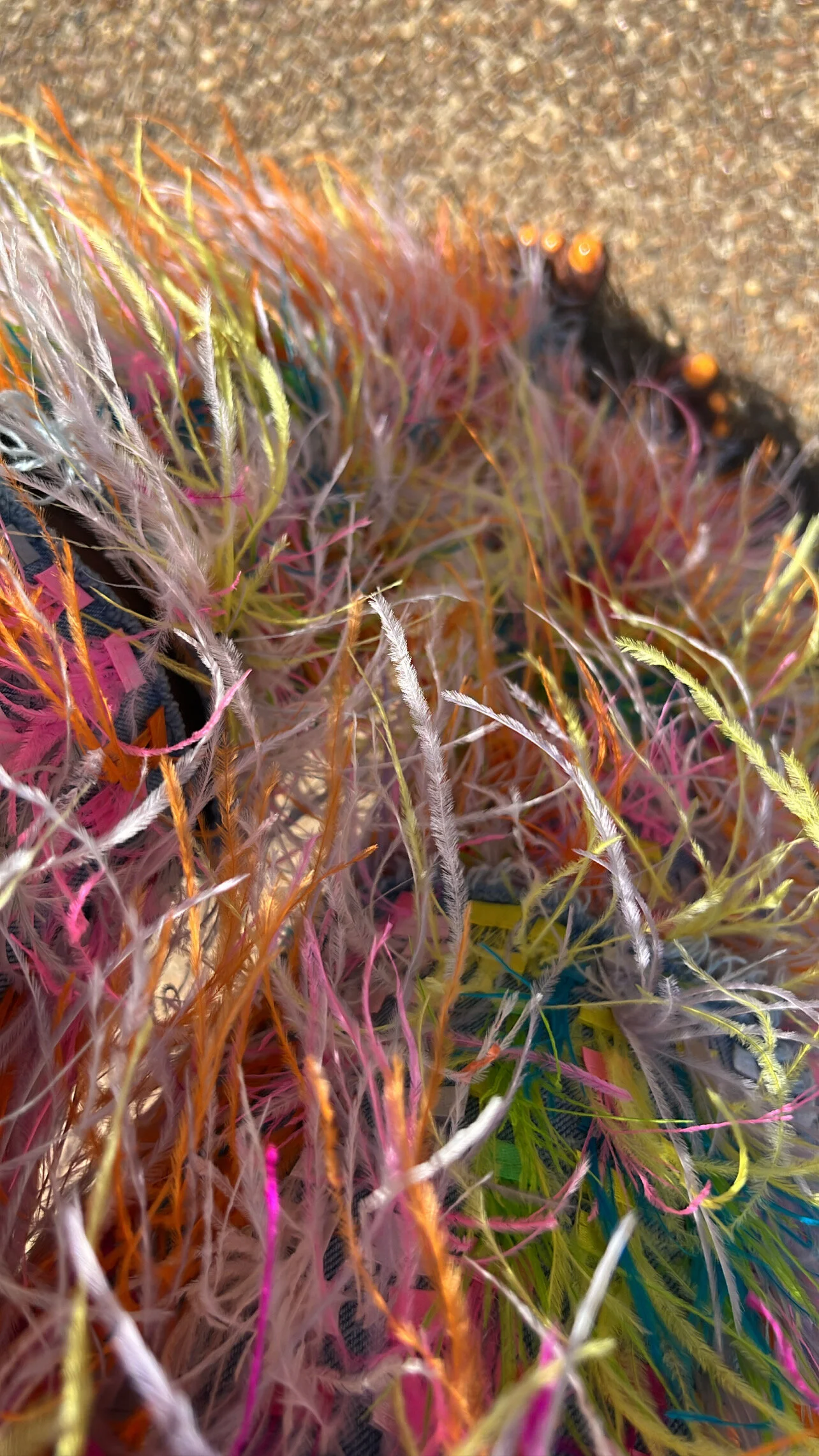 D0B401E7-138B-4F68-AB6A-E51392011FCA