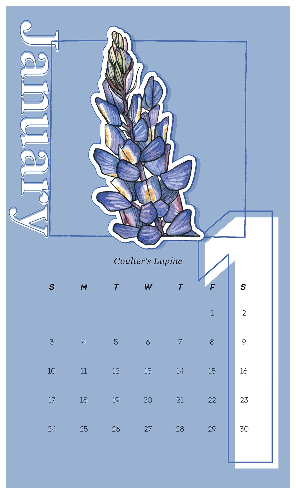 DesertBloom_Calendar_ColorBG-2.jpg