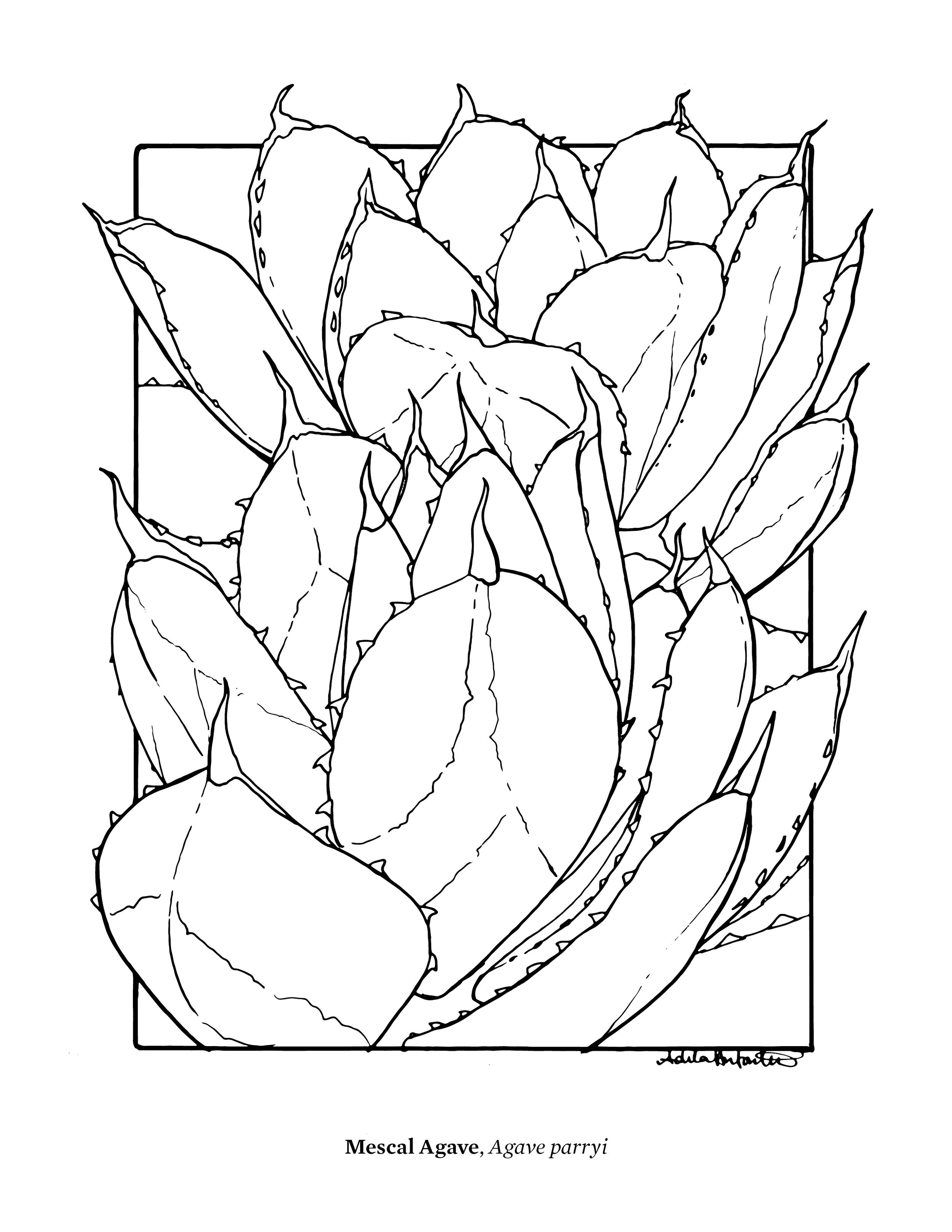 ColoringBookFinalDraft_10_12_202118.jpg