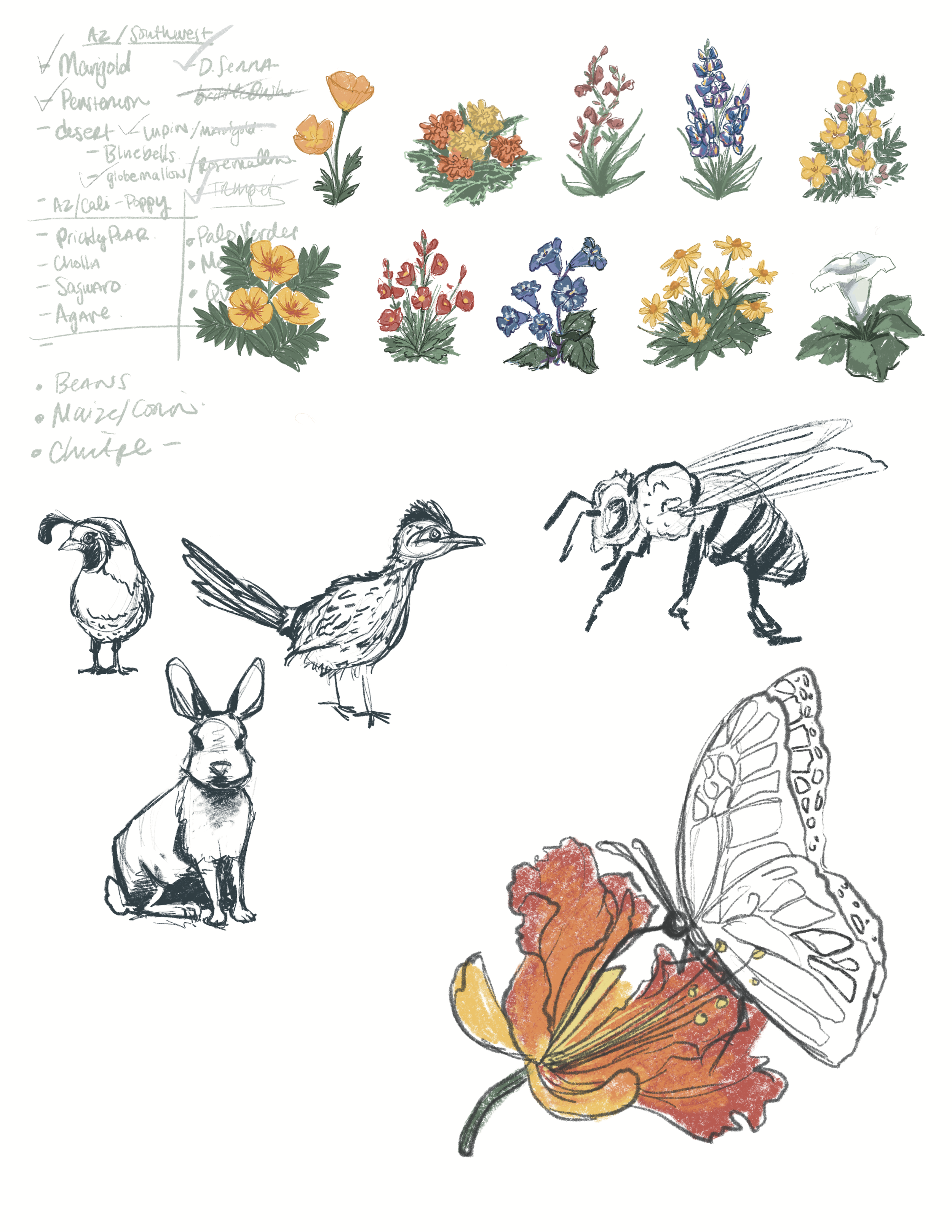 Designs.png