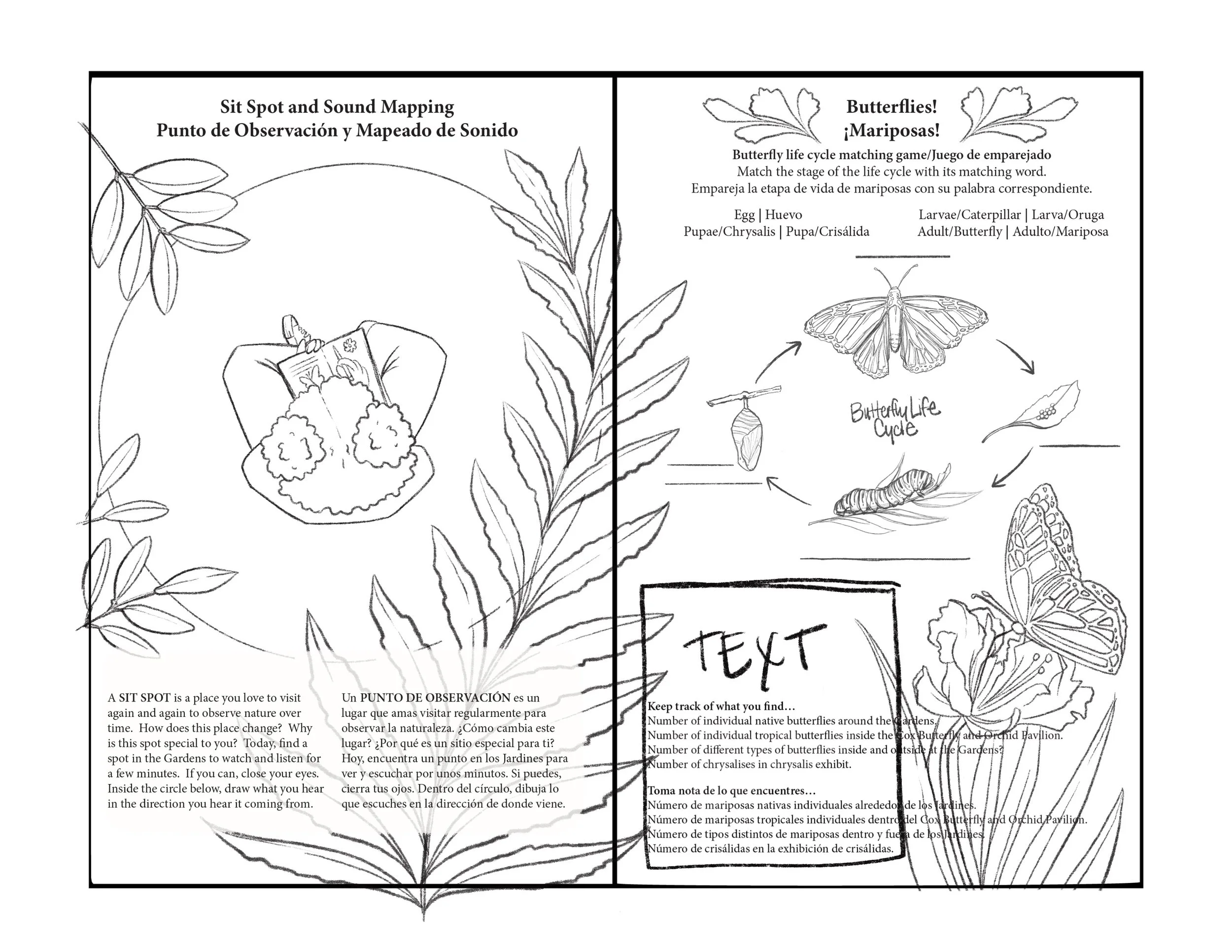 Spread_6.5.jpg