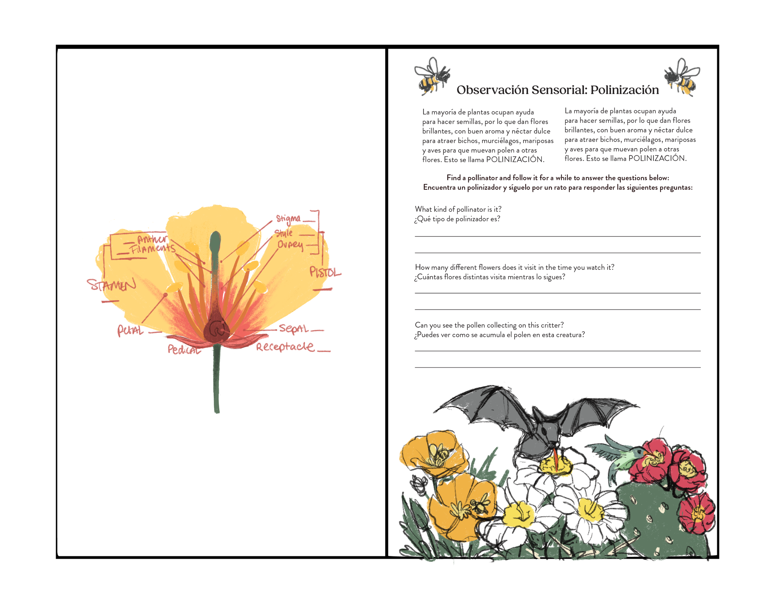 Spread_5.2.png