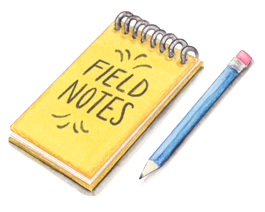Spread3_NotePad_edit.png