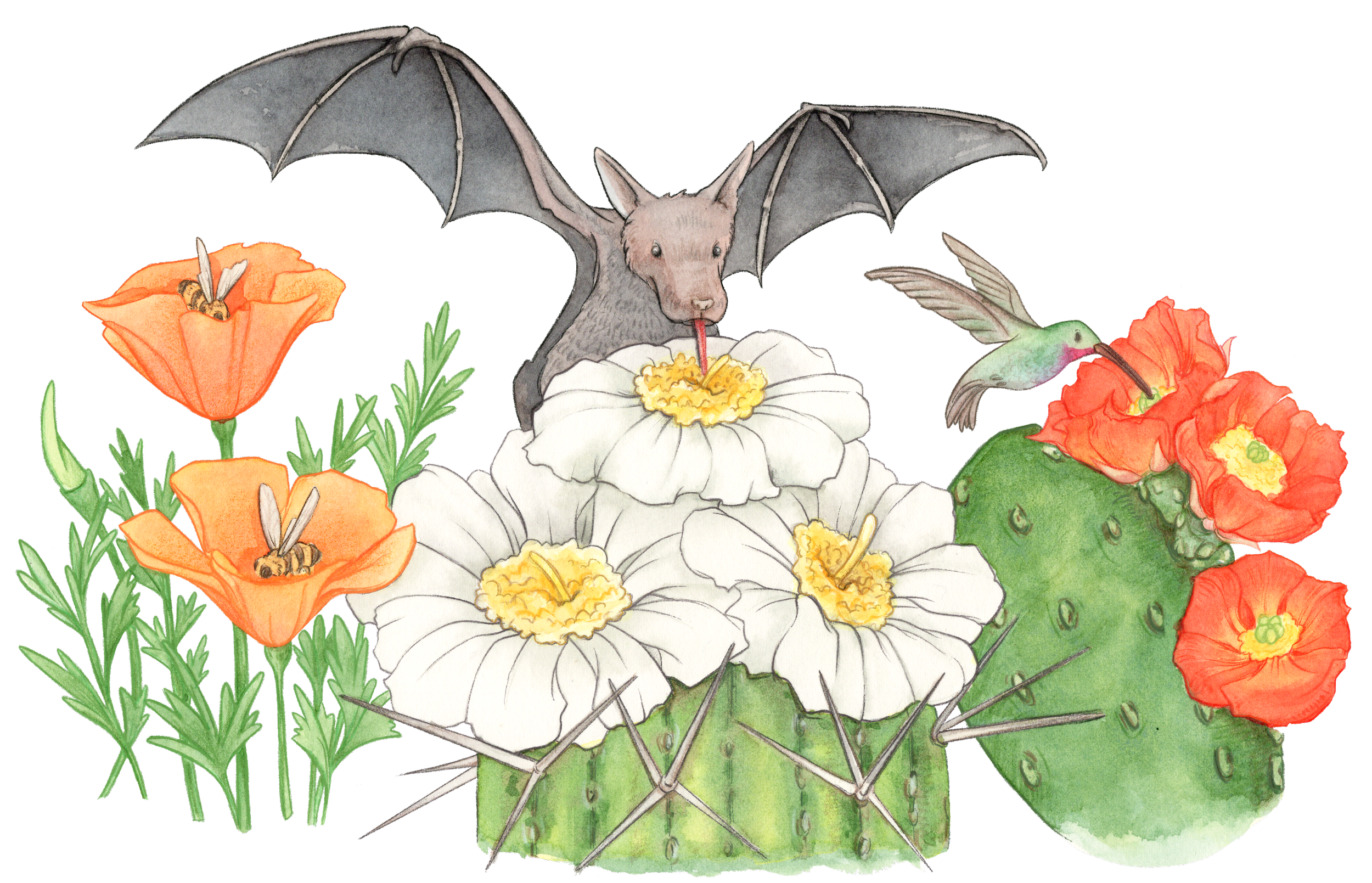 Spread5_Pollination_edit.png