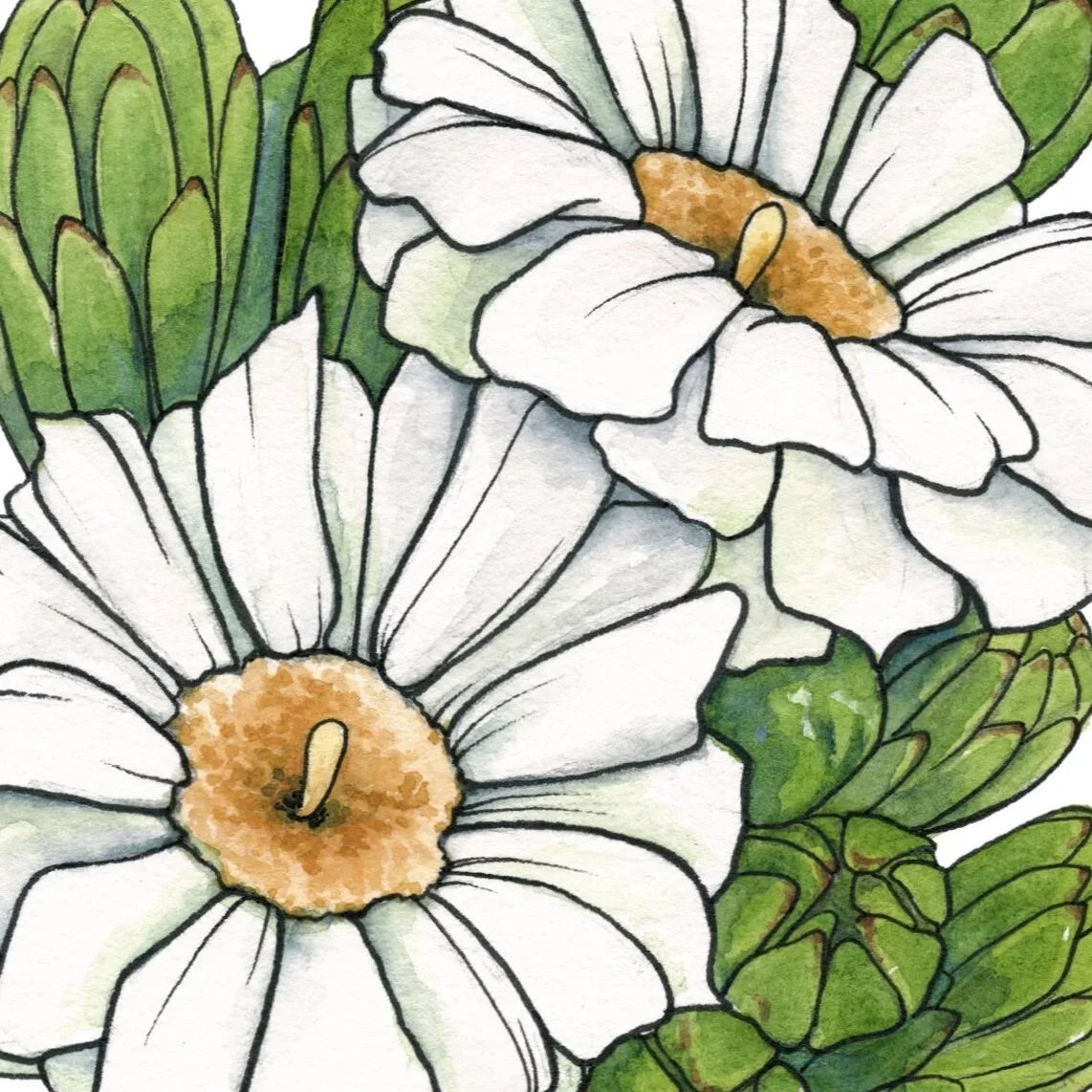 CalendarPrints5x7_11_13_207.jpg