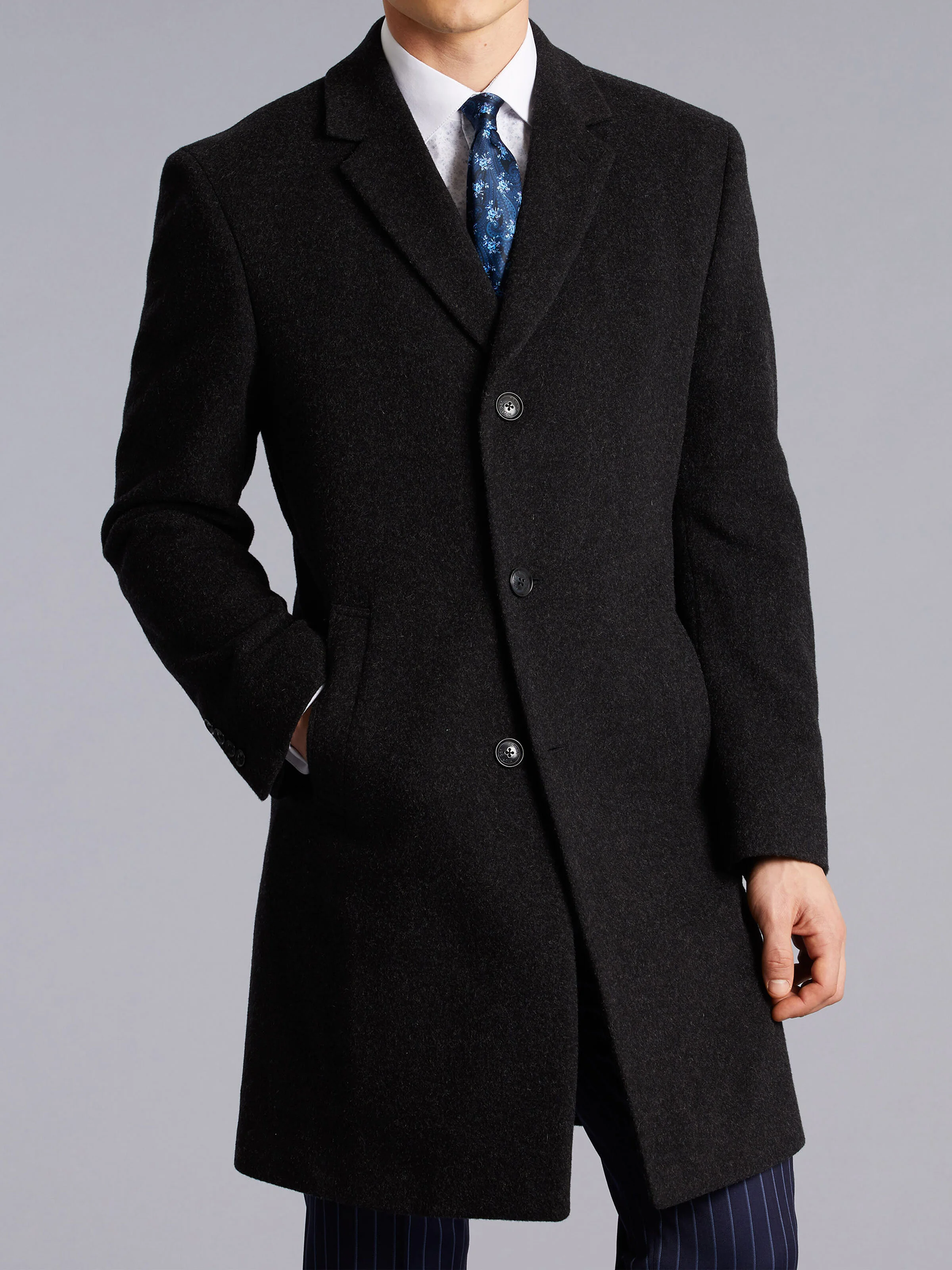 tommy-1.jpg
