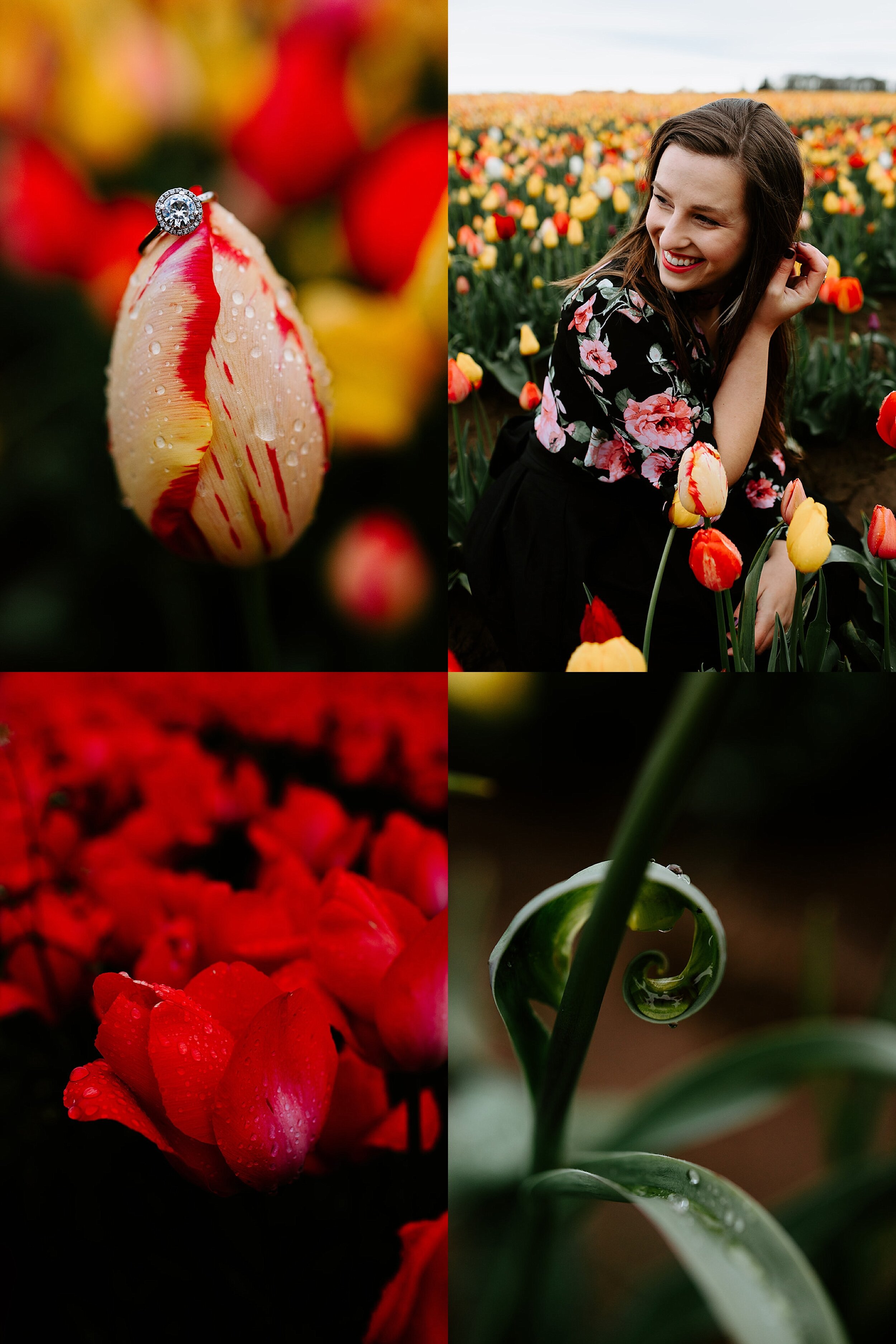 Janae Tulips Cat Dossett I Take Photos-139_websize_BLOG.jpg