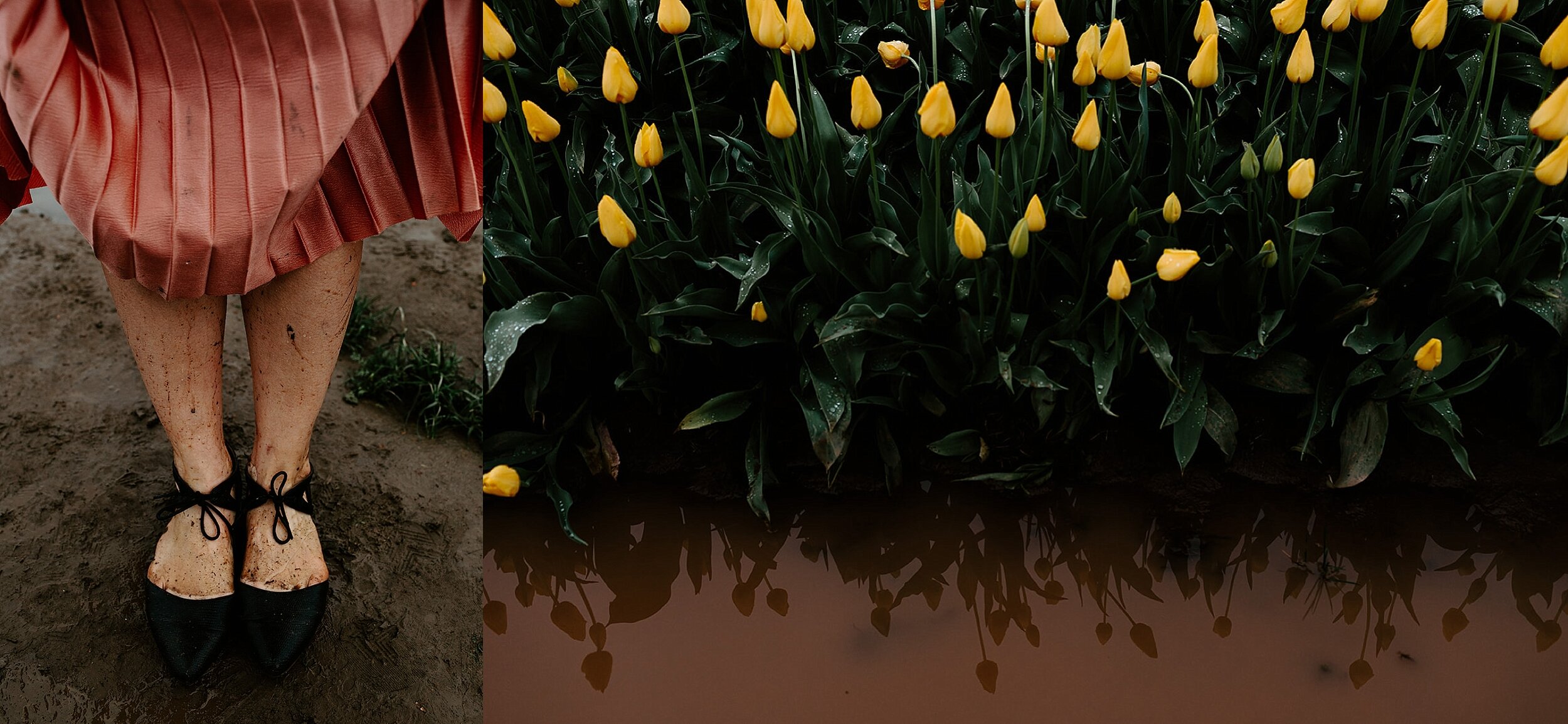 Janae Tulips Cat Dossett I Take Photos-151_websize_BLOG.jpg