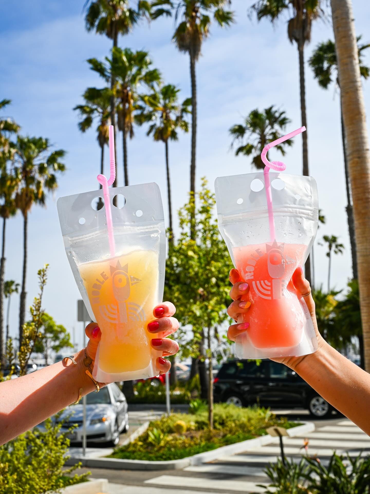 ☀️ Hot day? We&rsquo;ve got frozen solutions.

Our beloved Fros&eacute; is ready when you are&mdash;and now there&rsquo;s a new crush in town: the Elderflower + Mint Spritz. Light, crisp, and oh so refreshing.🌿

Patio hang or beach stroll&mdash;Long
