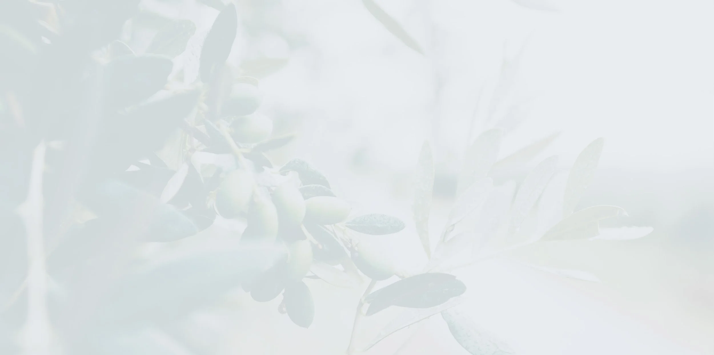 Careers_Banner.jpg