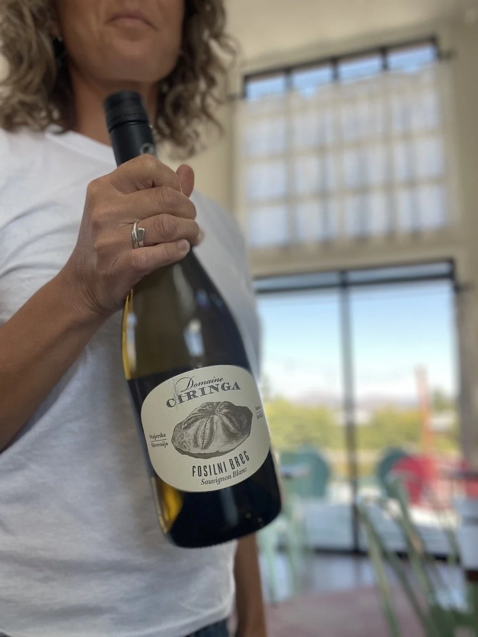 Ciringa Fosilni Breg Sauvignon Blanc