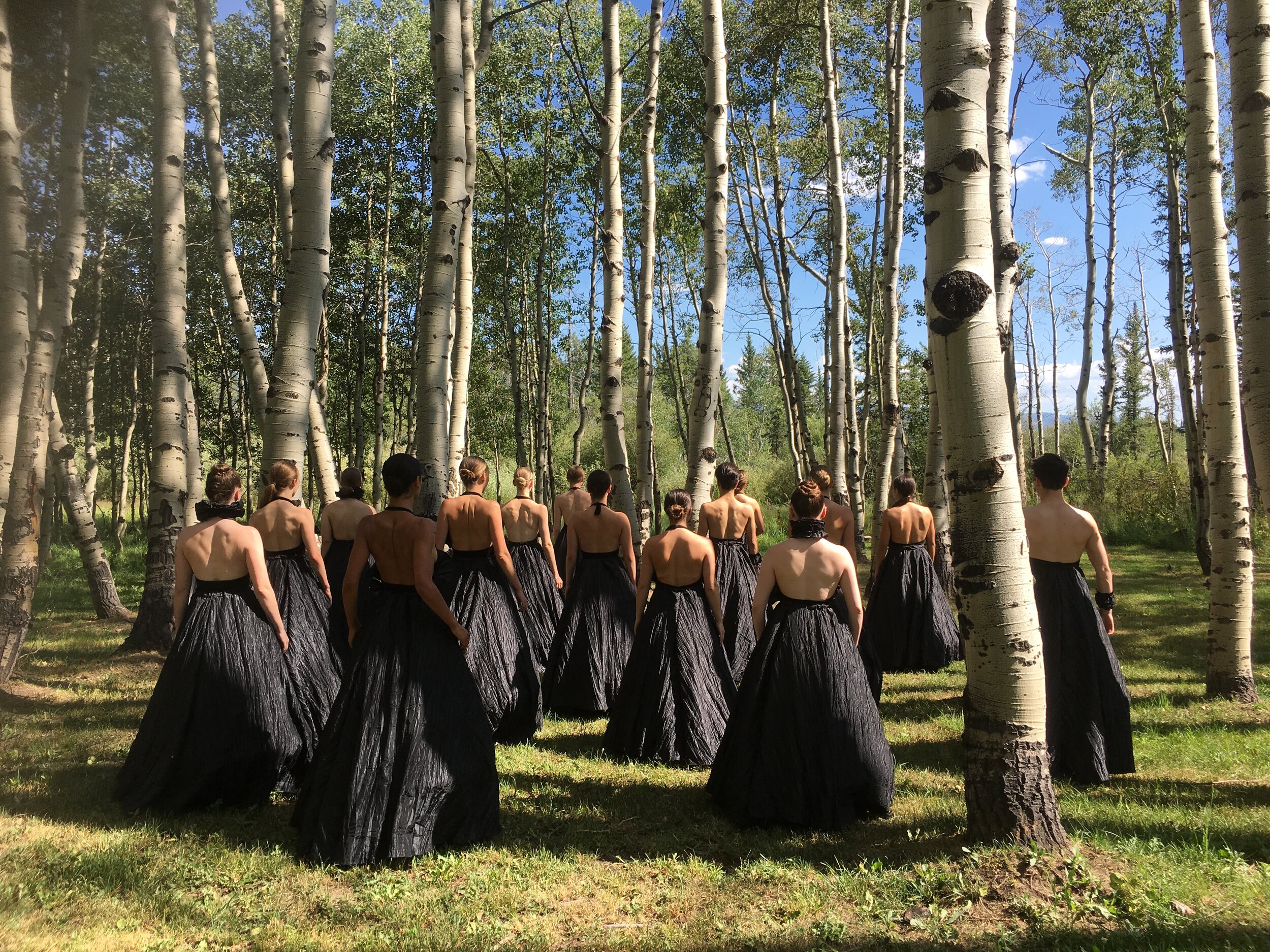 Professional Dance — PERRY MANSFIELD