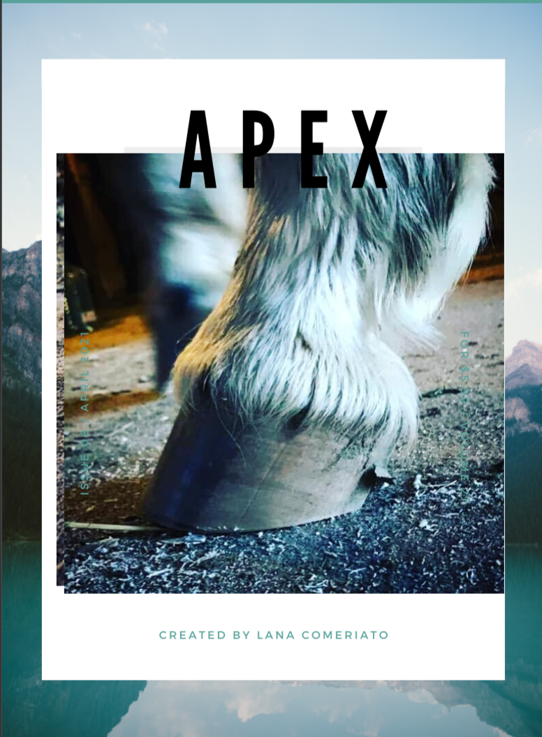 Screen Shot 2020-01-11 at 12.33.49 PM.png