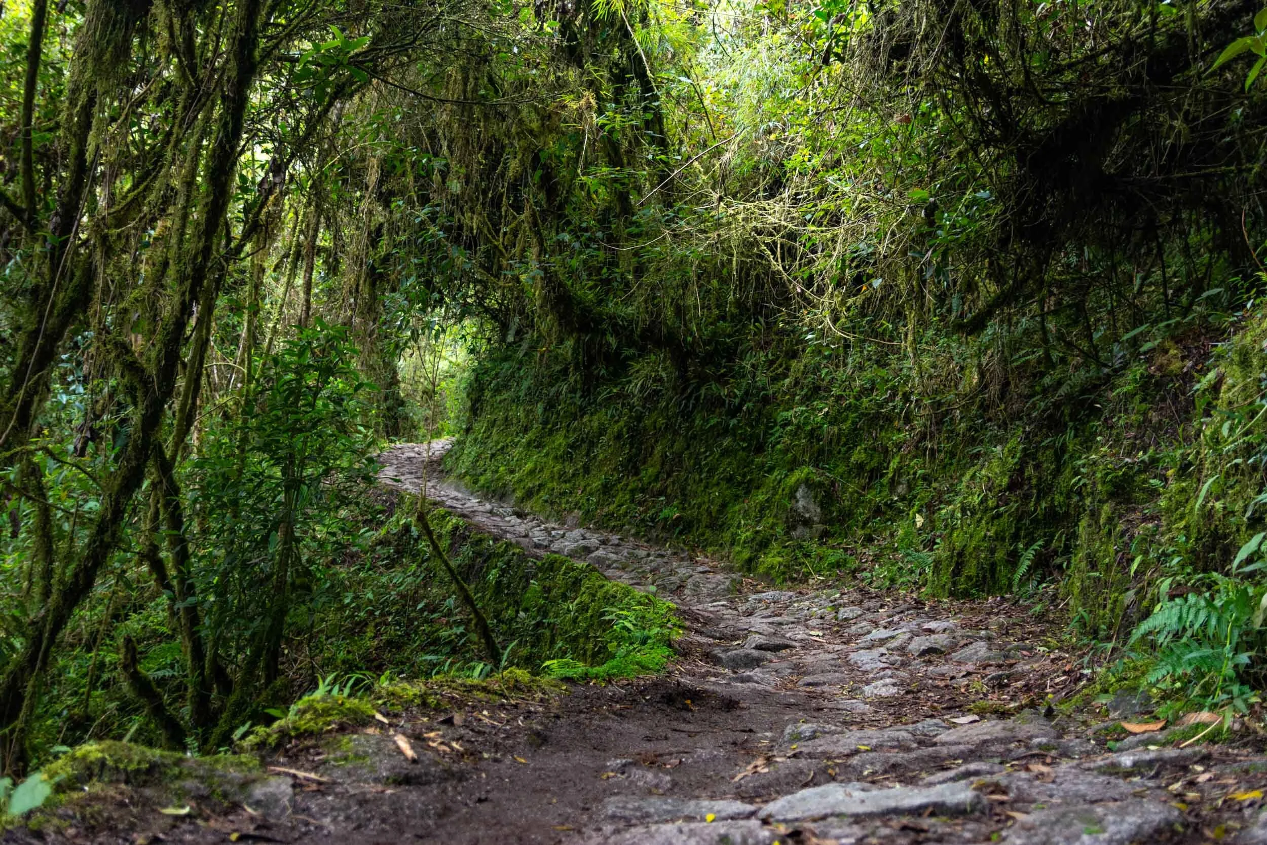 <span>Inka Trail, Peru</span>