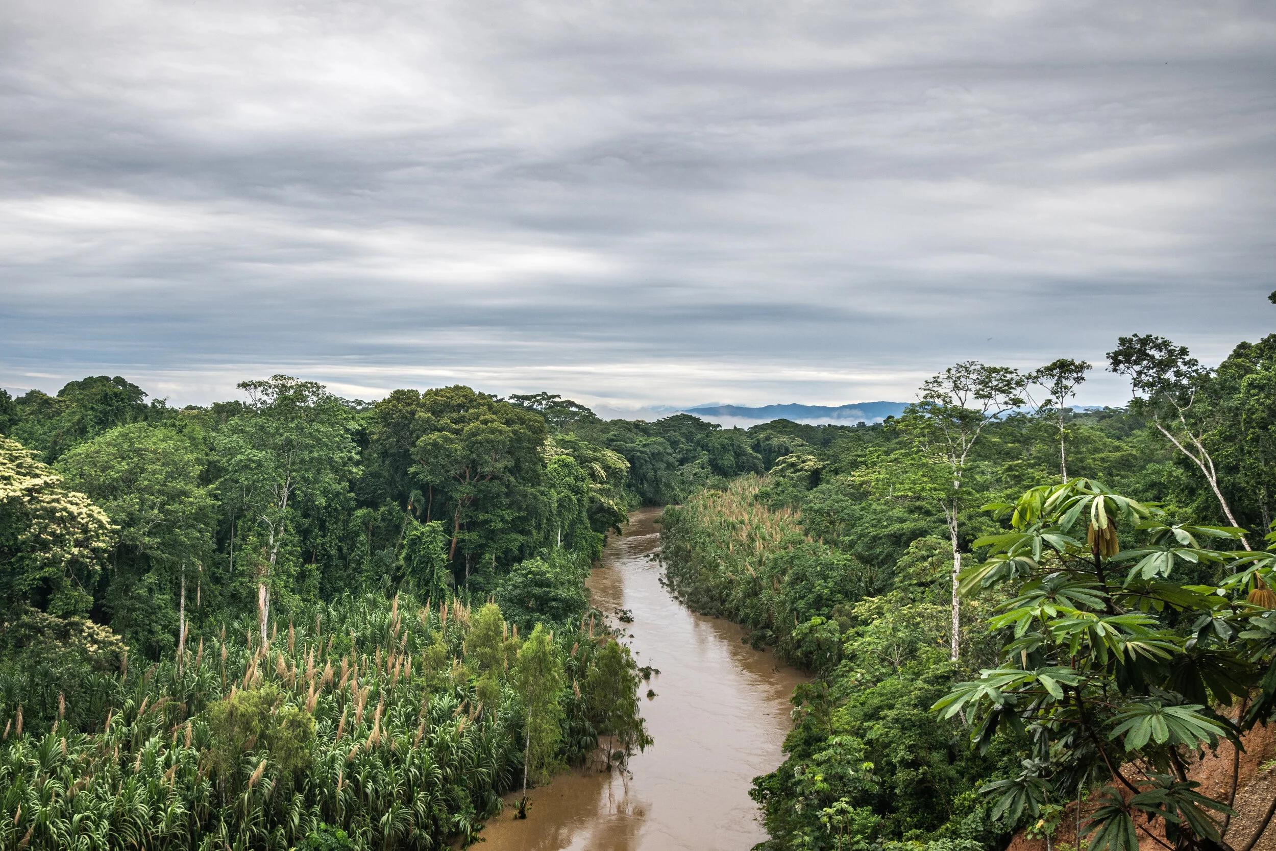 <span>Tambopata, Madre de Dios, Peru</span>