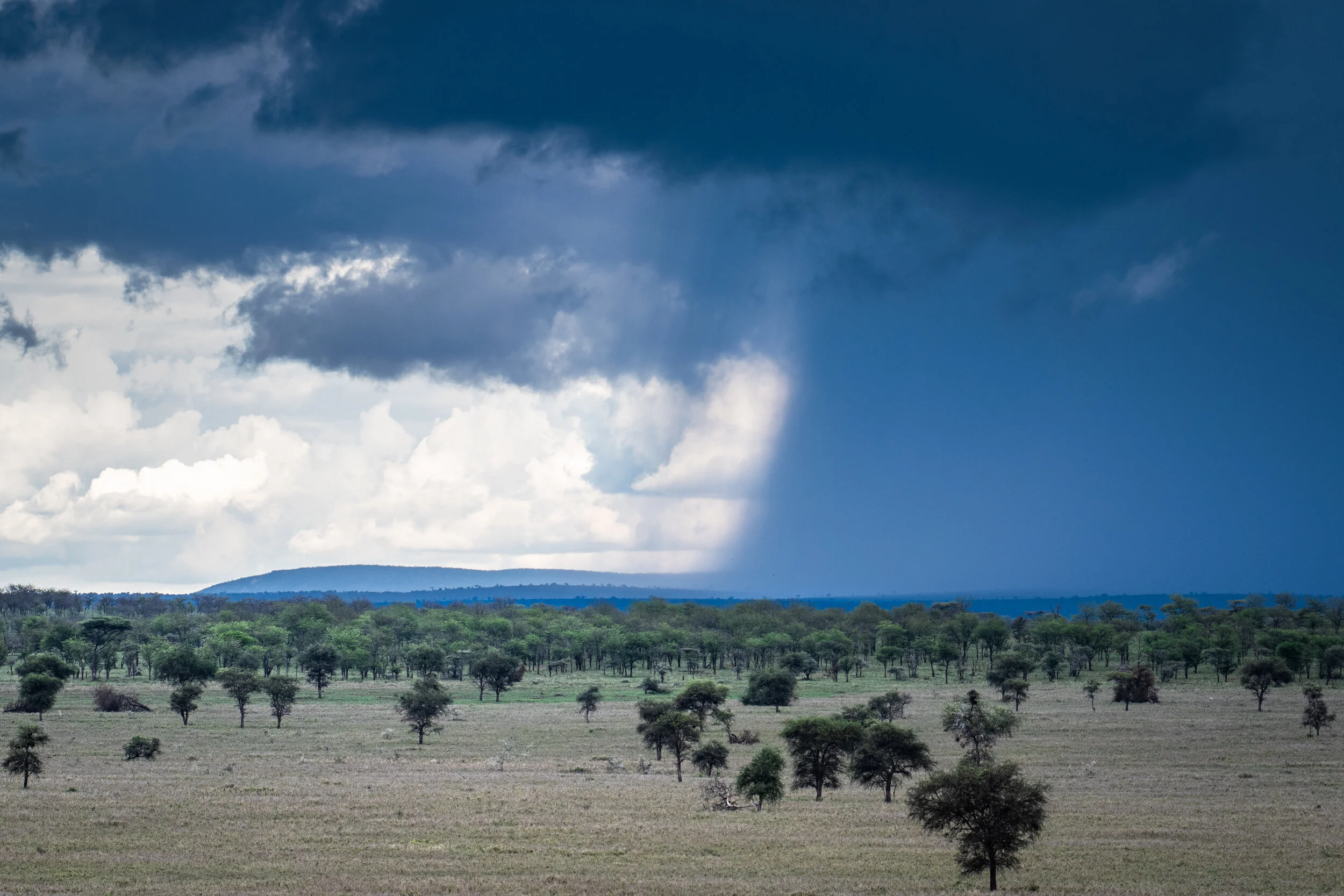 Serengeti, Tanzania</span>