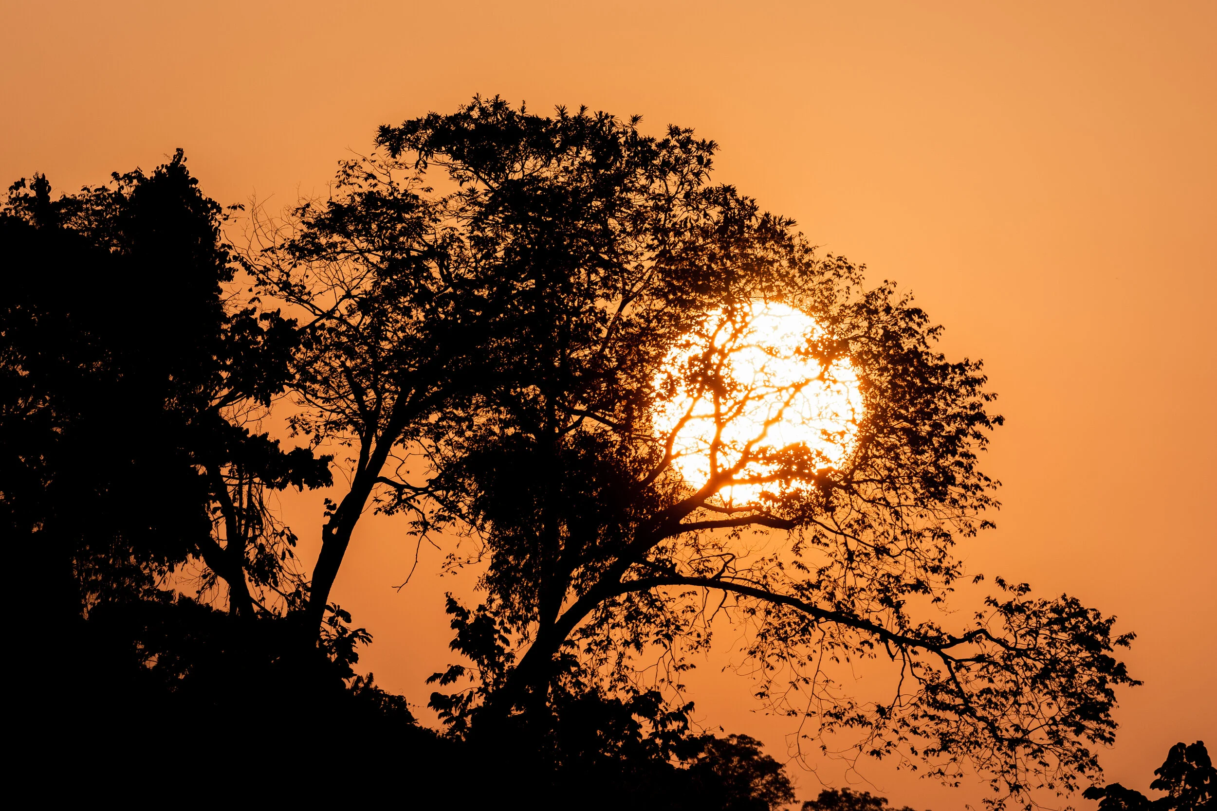 <span>Tambopata, Madre de Dios, Peru</span>