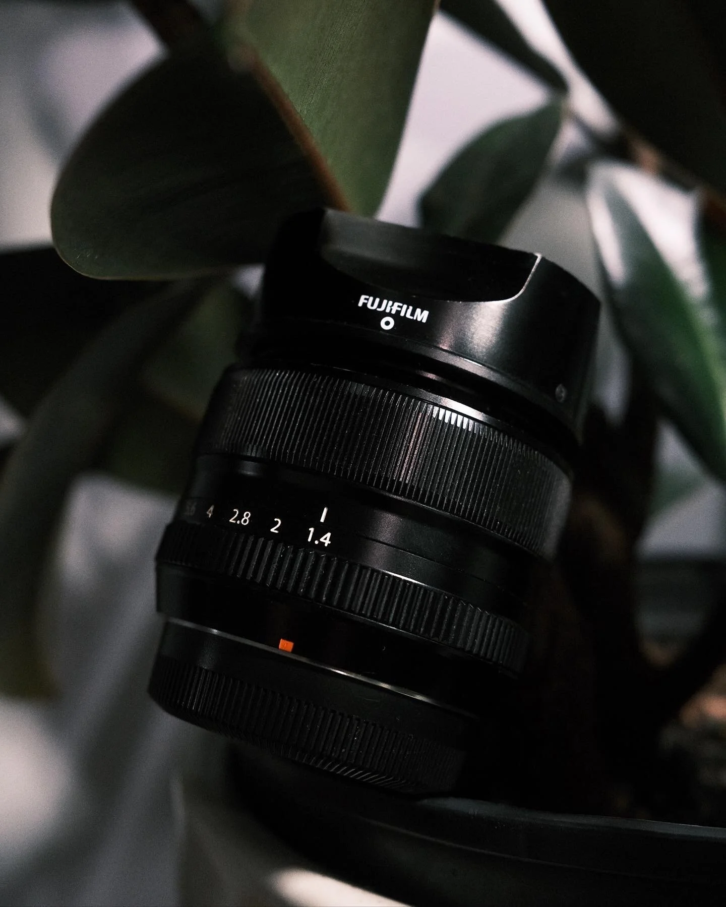 The Fujifilm 35 mm F1.4 Lens 