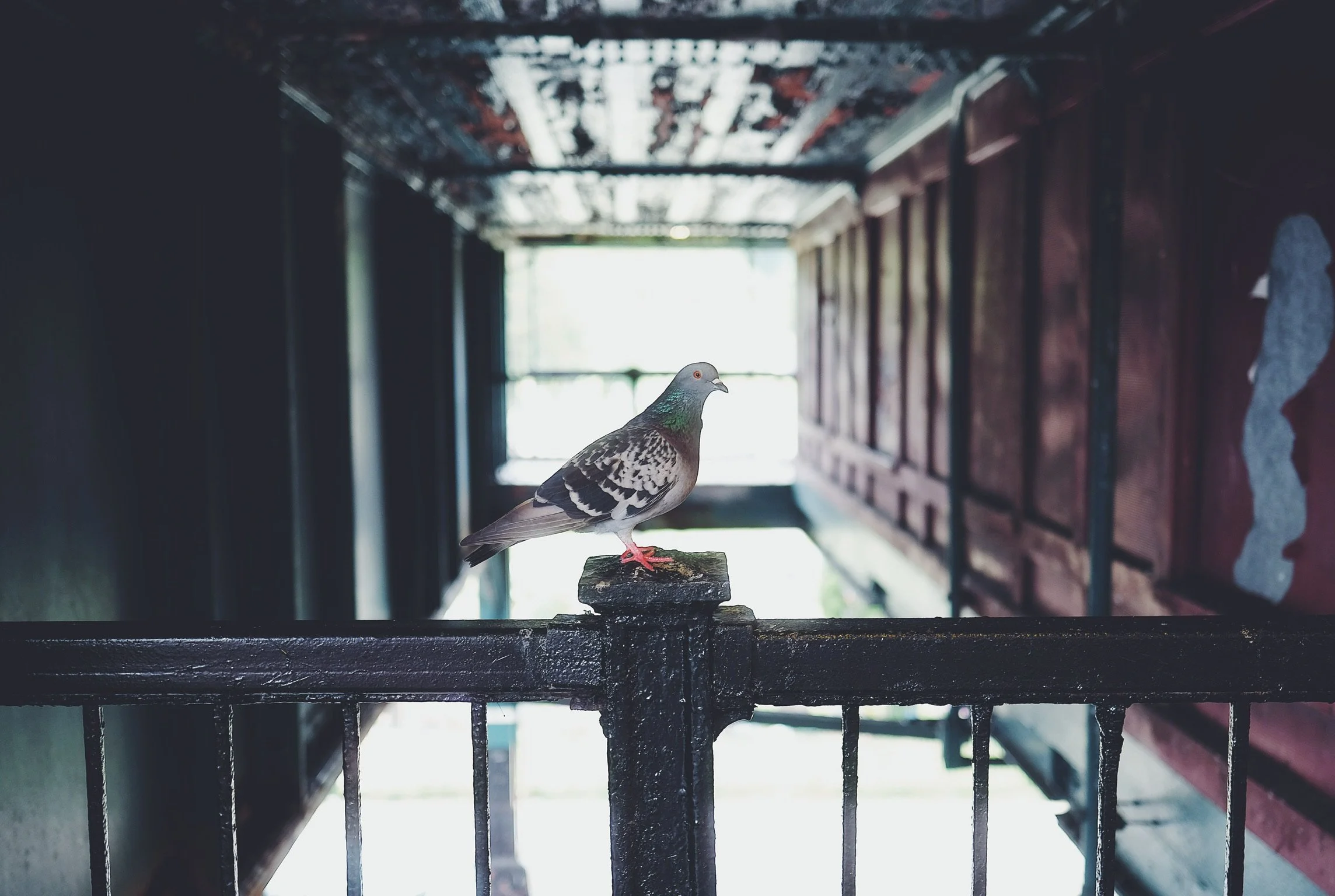 Street Photography - 20 of 20.jpeg